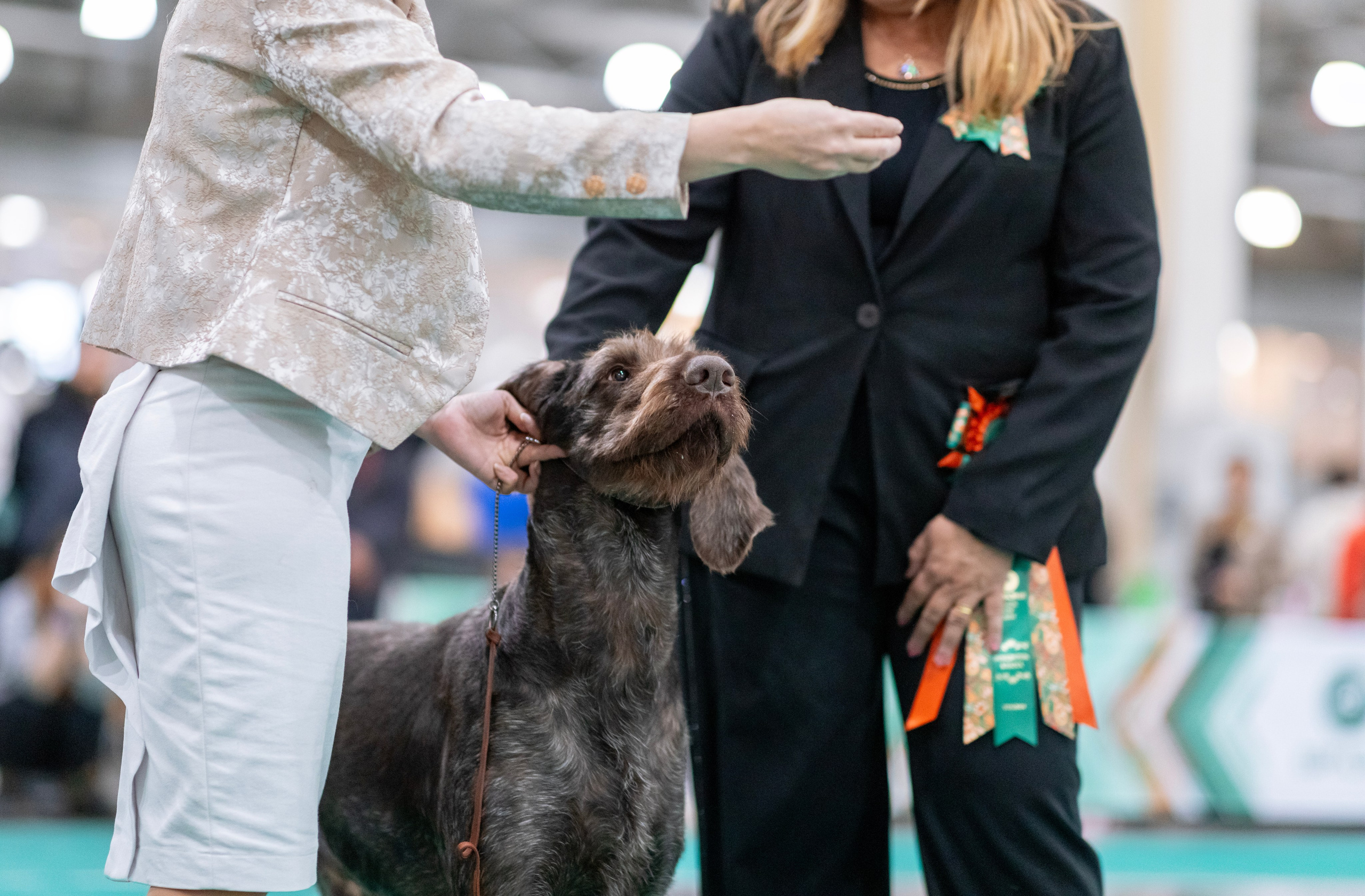 Евразия. Фотограф — анималист Татьяна Ли