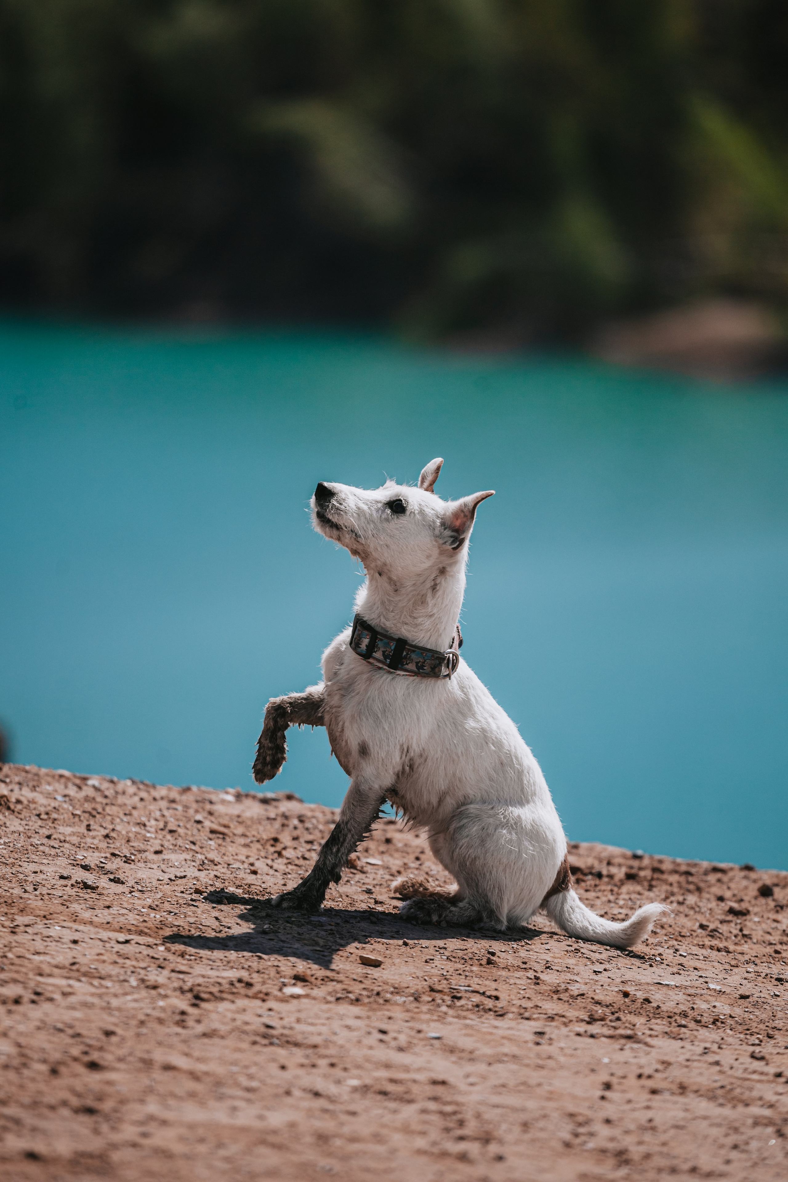 Кондуки. Фотограф-анималист Татьяна Степанова