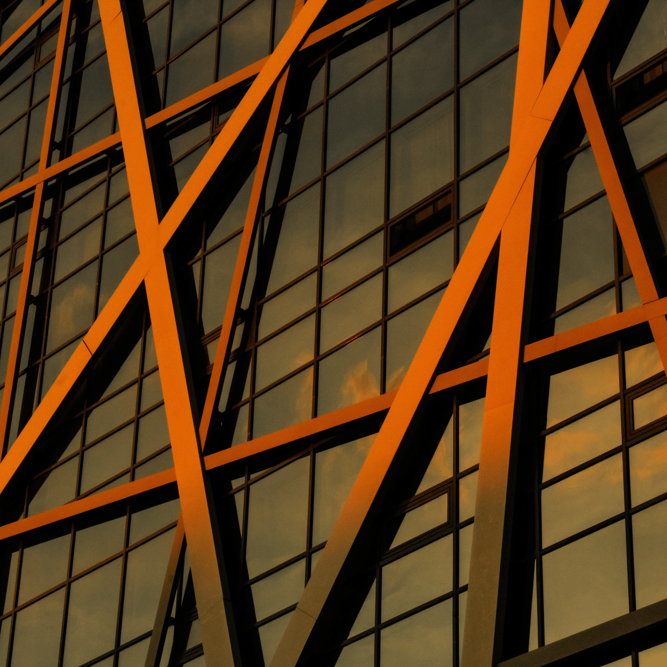 Summertime. Фотограф/дизайнер в Екатеринбурге Хитрый Дмитрий