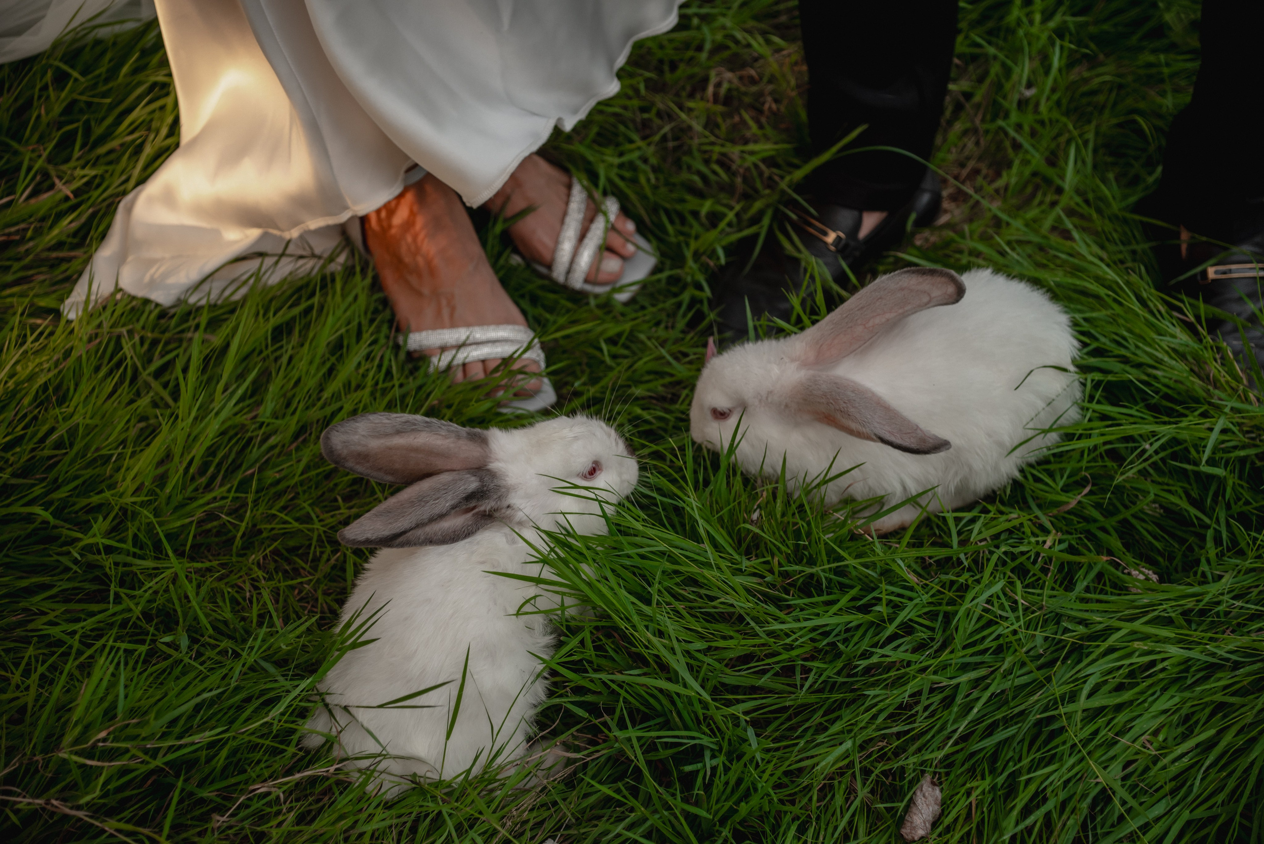 Бельбек. Свадебный фотограф Анна Хочева