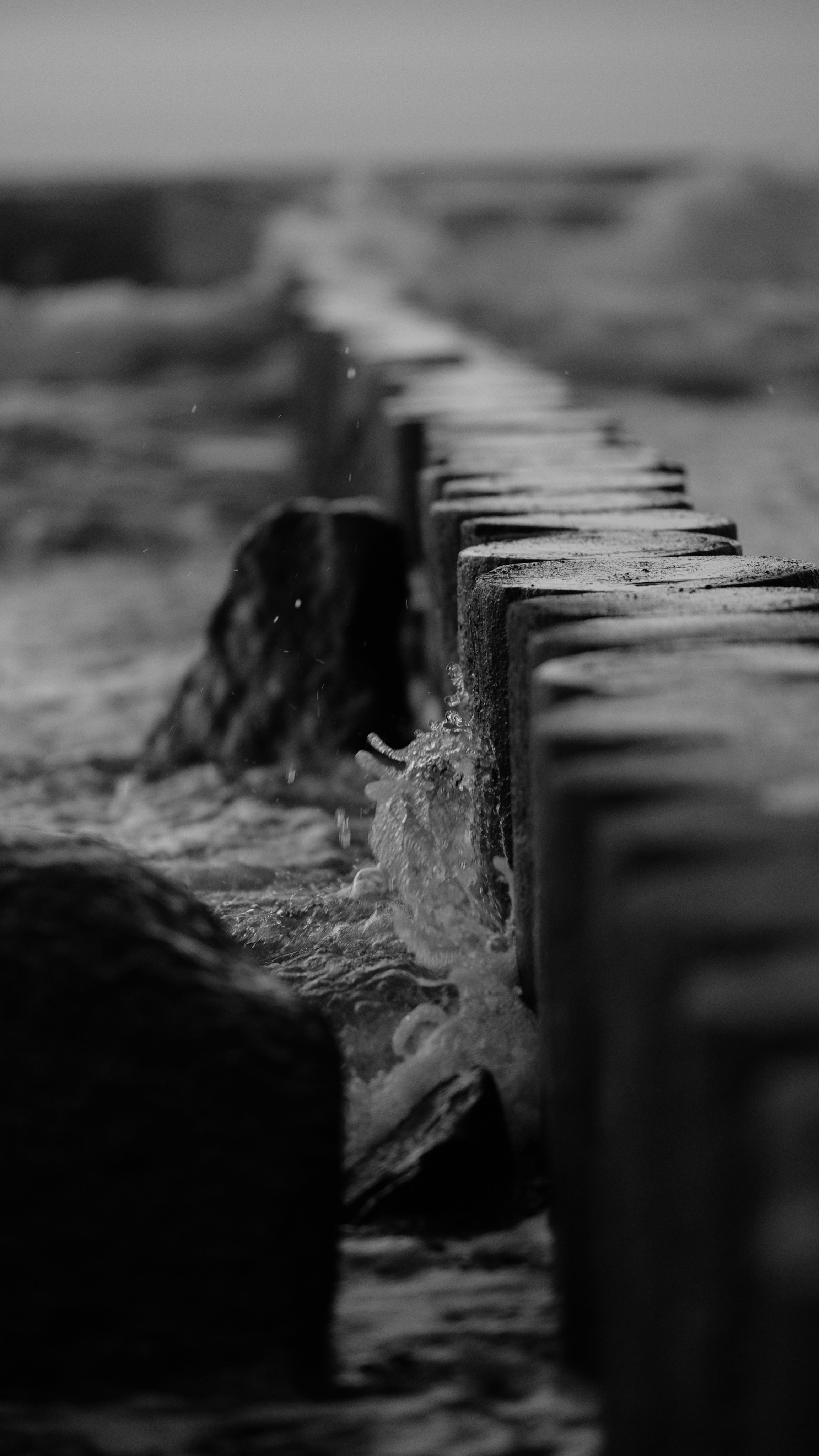 KRUTOVA_фотографирую жизнь