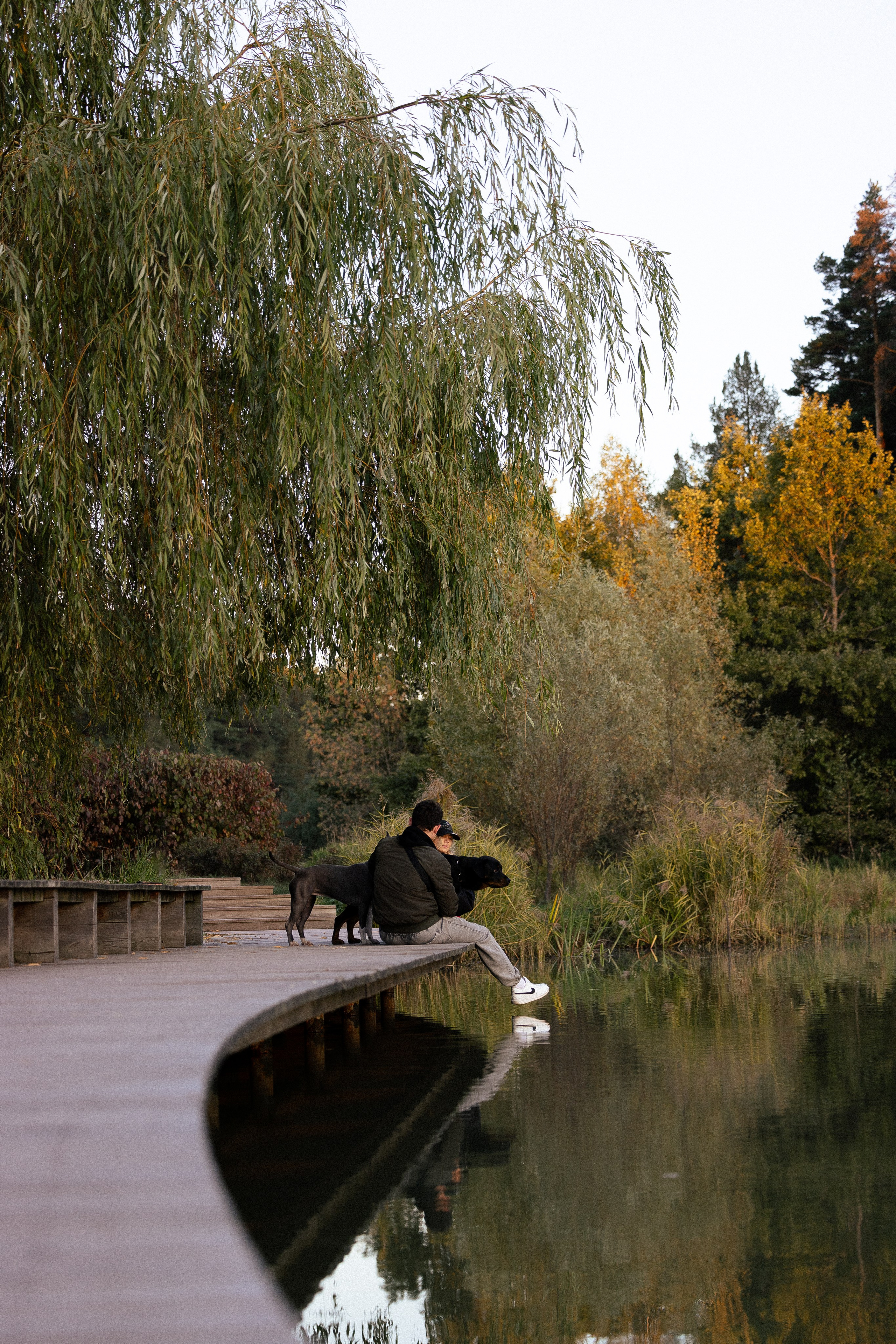 Катя, Леша, Лея и Трой. Фотограф и видеограф анималист Аганина Дарья