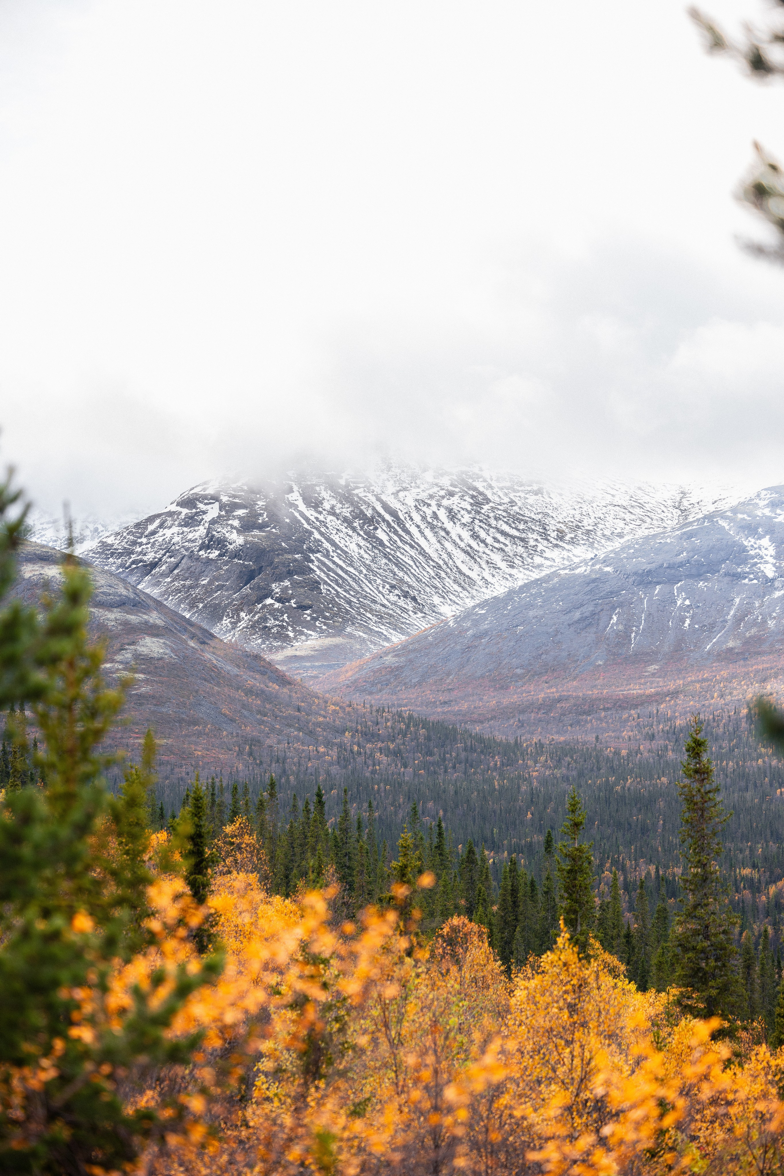 Кольский. Фотограф и видеограф анималист Аганина Дарья