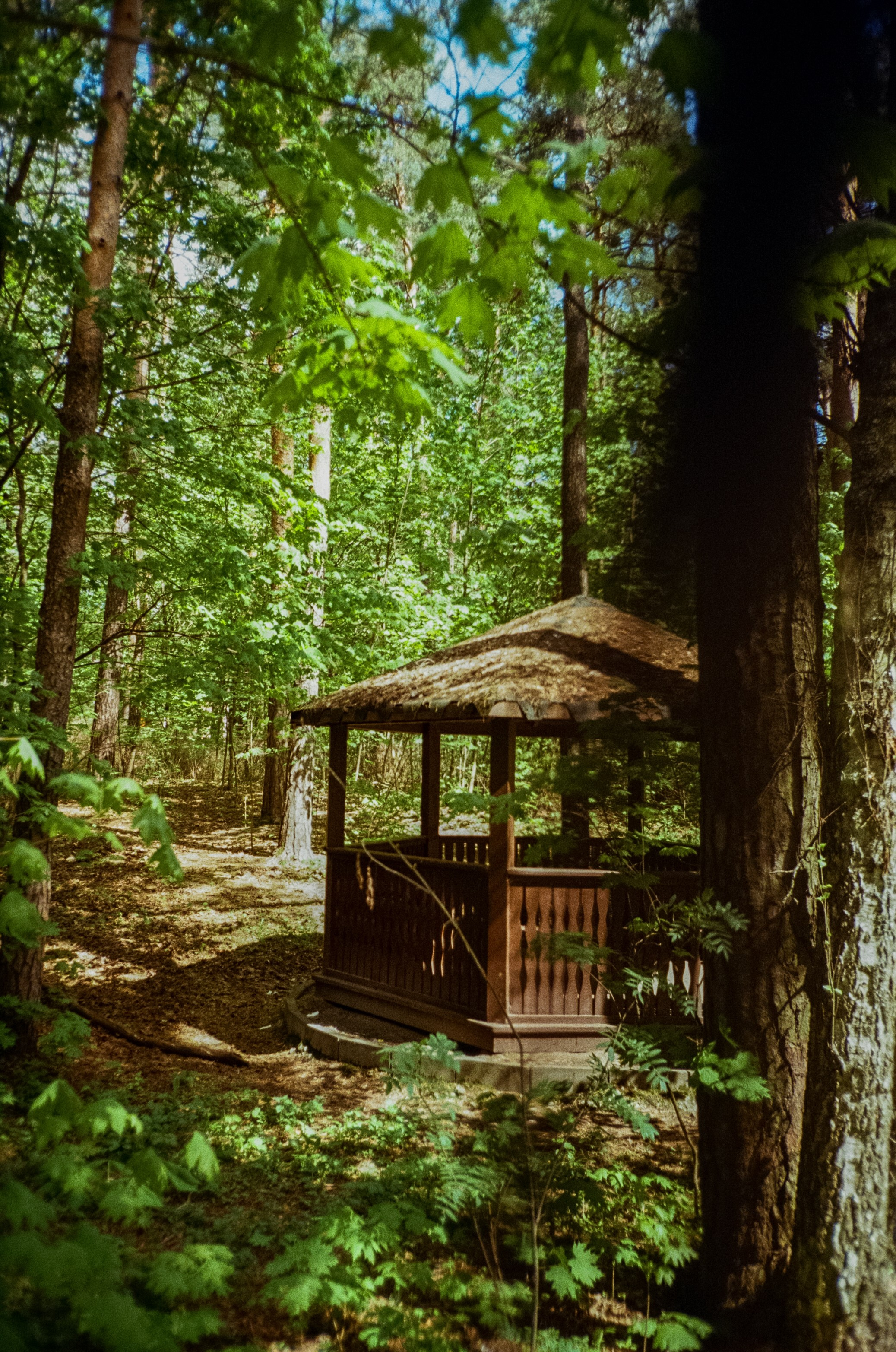 Ricoh R1 | Kodak ProImage 100 | 6 мая 2025 года СерБор