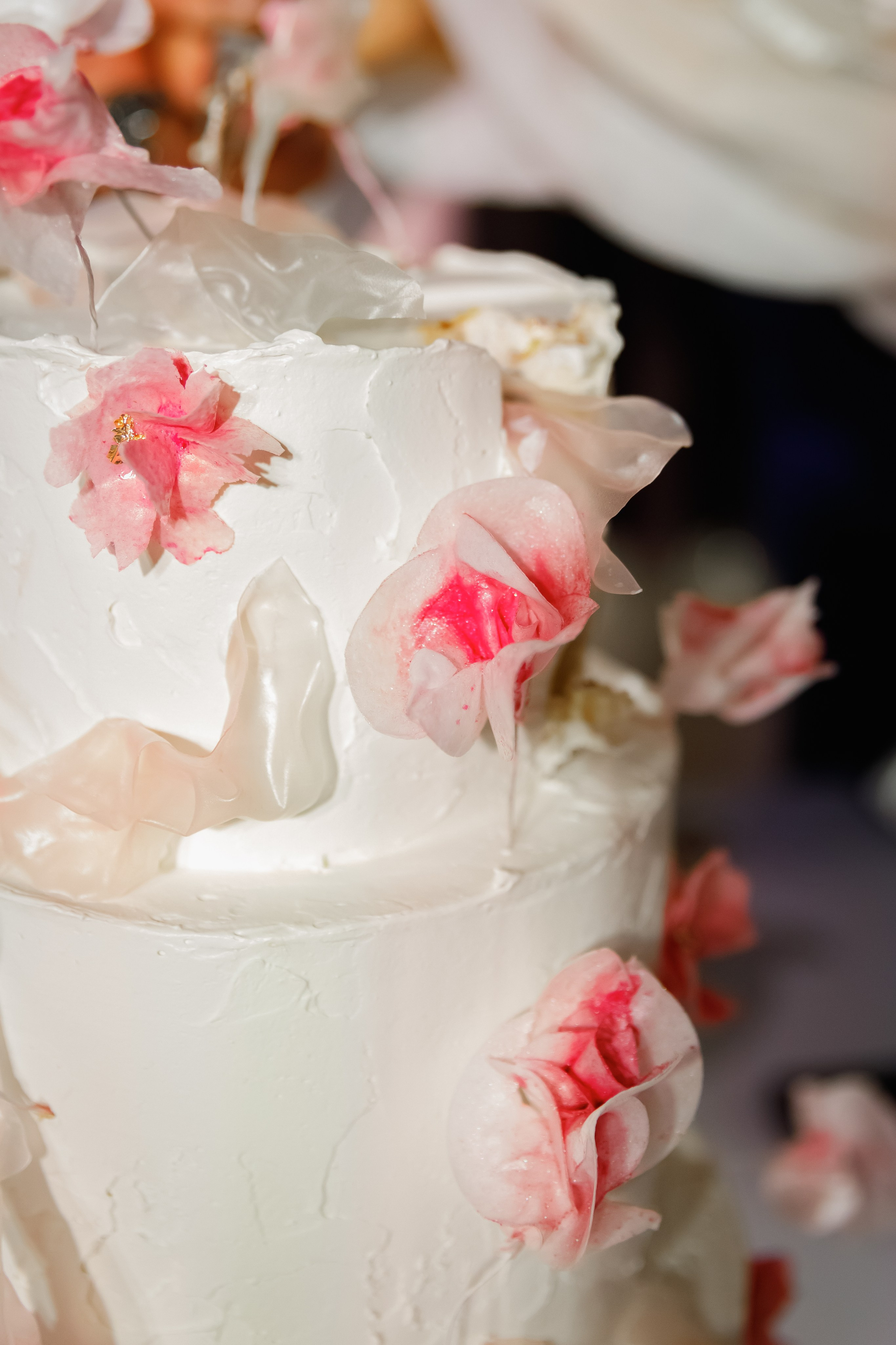 Кирилл & Екатерина. Свадебный фотограф, крещение, венчание СПБ, Белгород Анна Коршунова