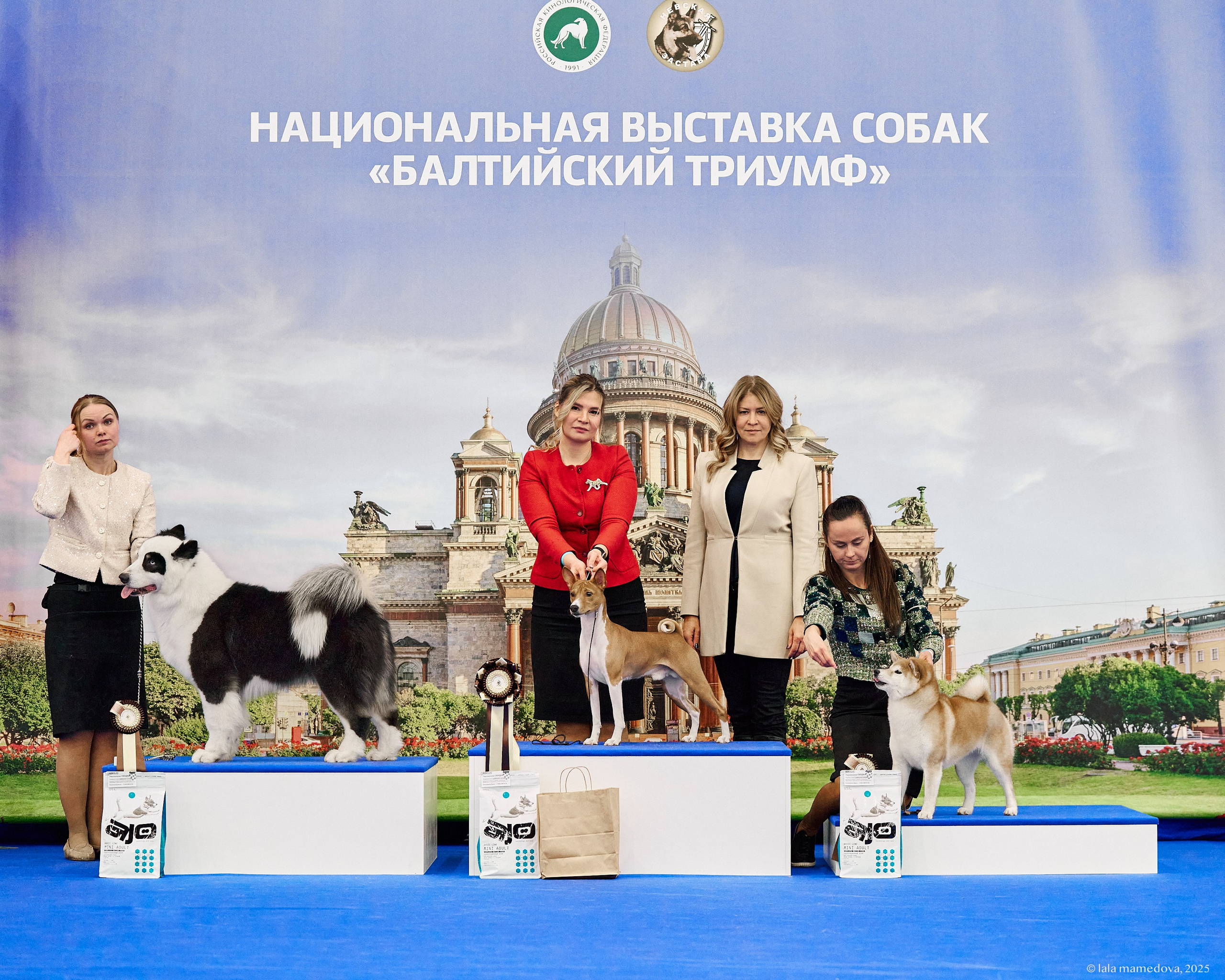 22-23 FEB 2025 | NATIONAL DOG SHOW «BALTIC TRIUMPH-2025»