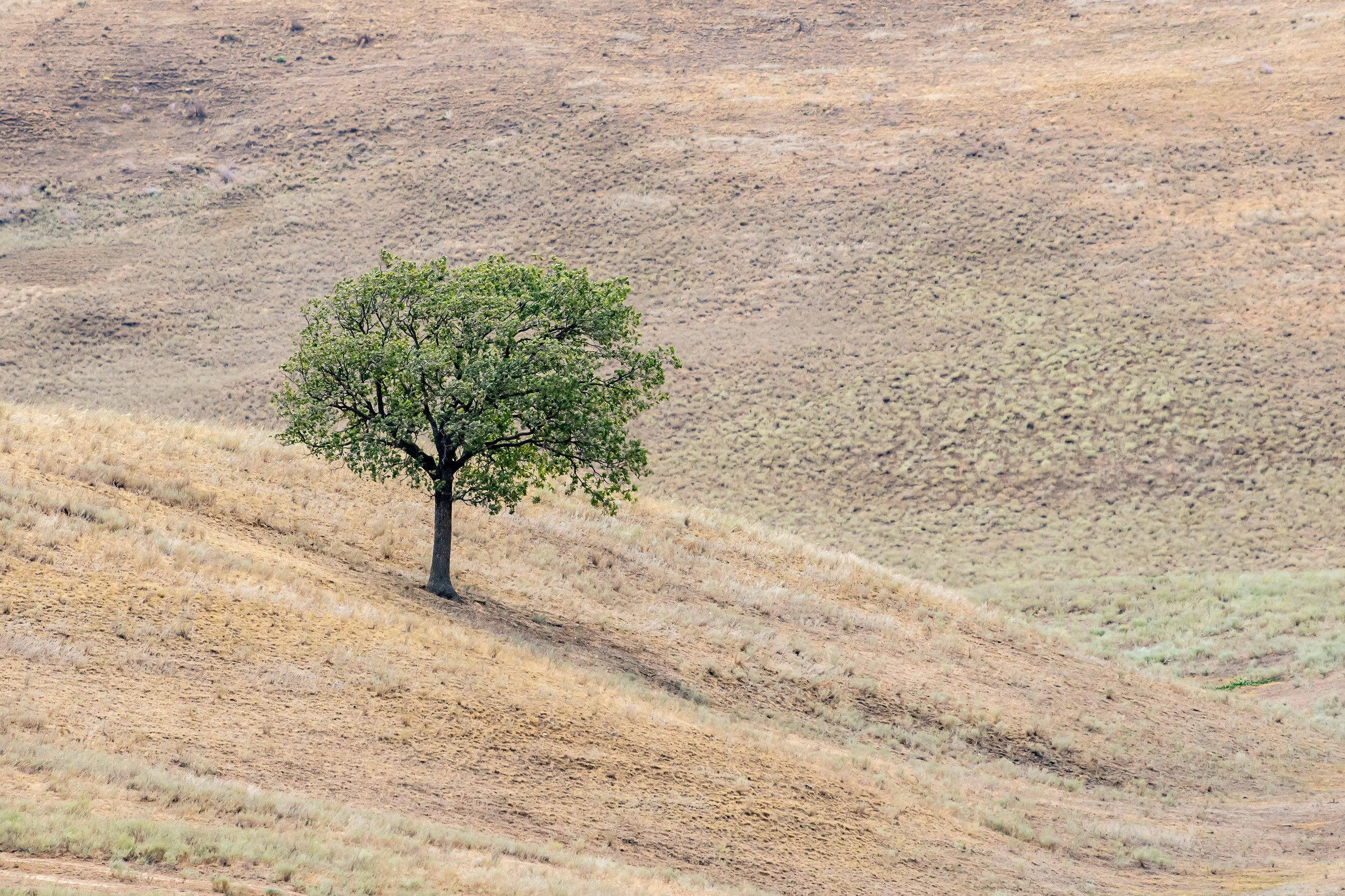 Природа Дагестана, сентябрь 2024. Foto-Zuev фотография как искусство