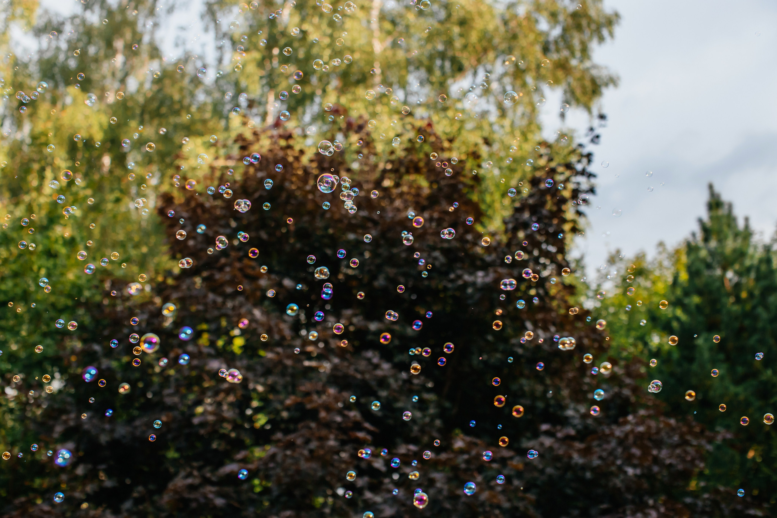 Свадьба Сергей и Ангелина. Анастасия Давыдова