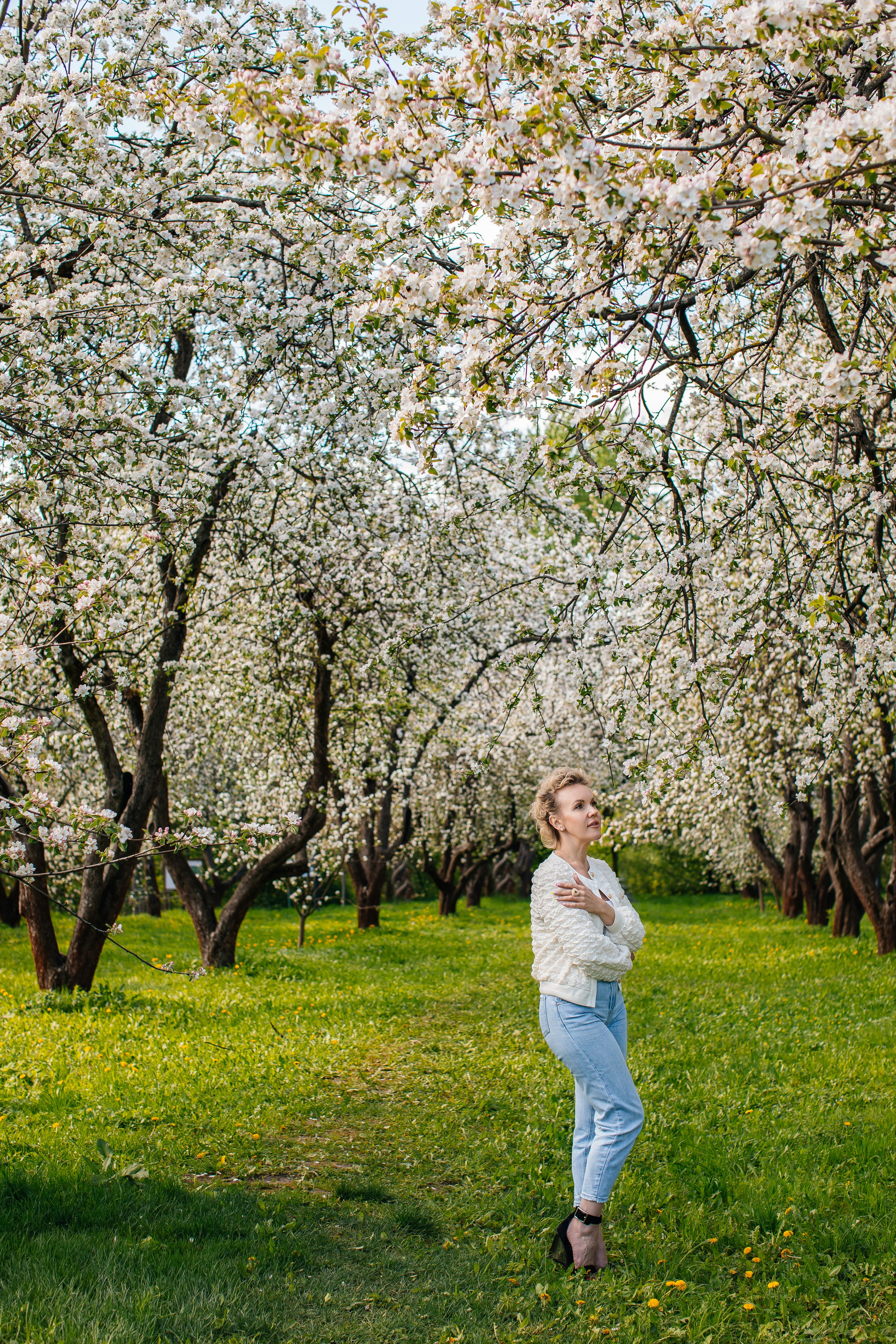 Цветение. Анастасия Давыдова