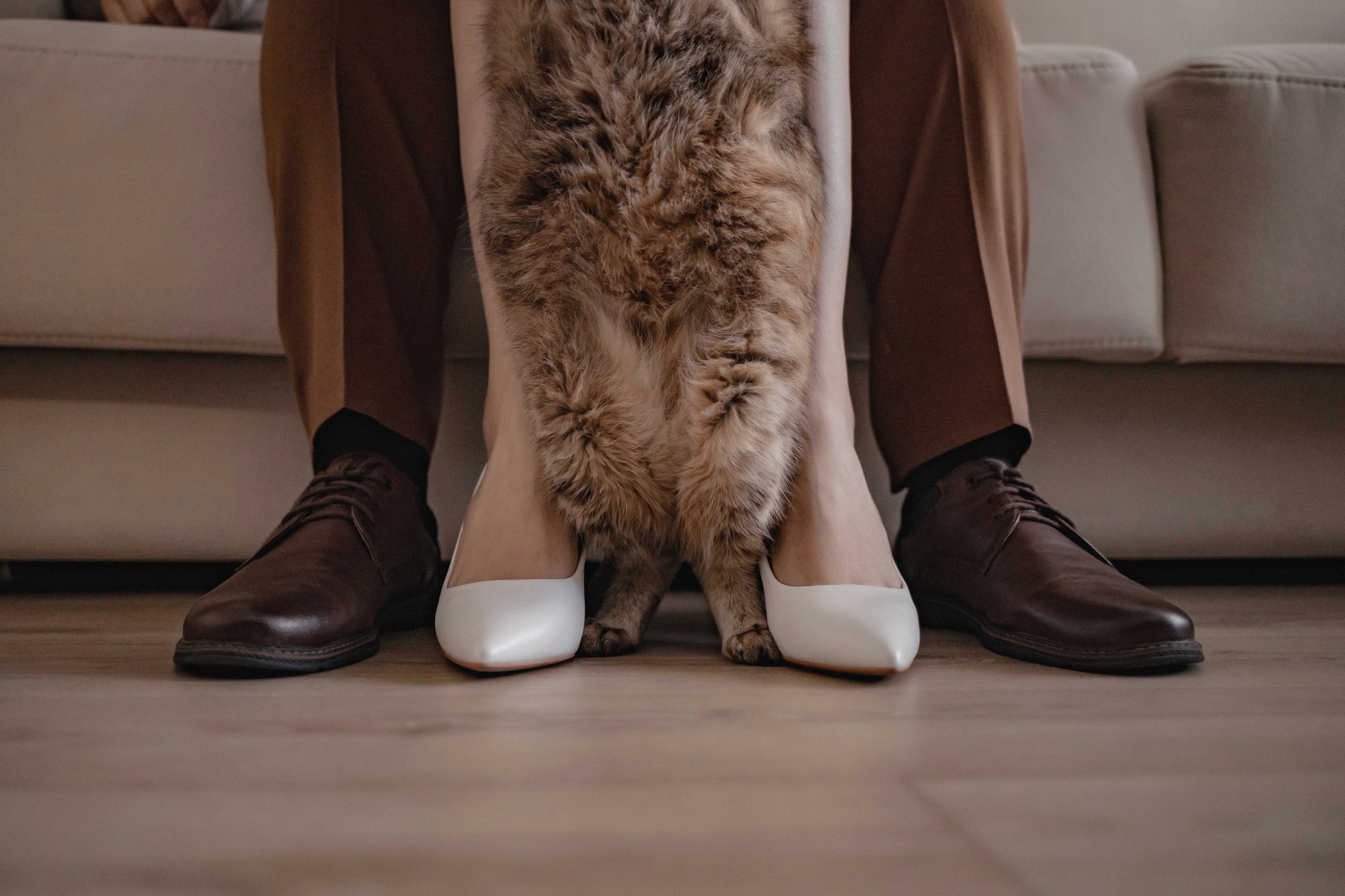 Дмитрий Евгения 15.09.23