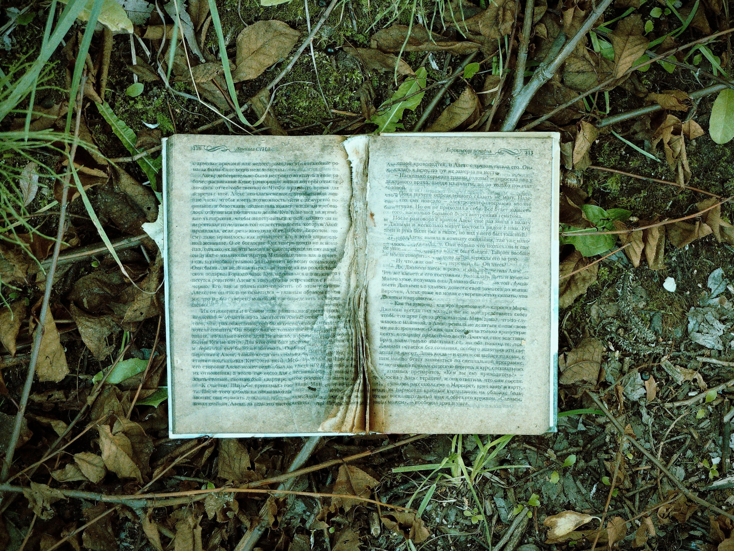 Bardo / Цветущие сны. Роман Ходырев — художник, фотограф, музыкант, эзотериолог. Санкт-Петербург, Рига