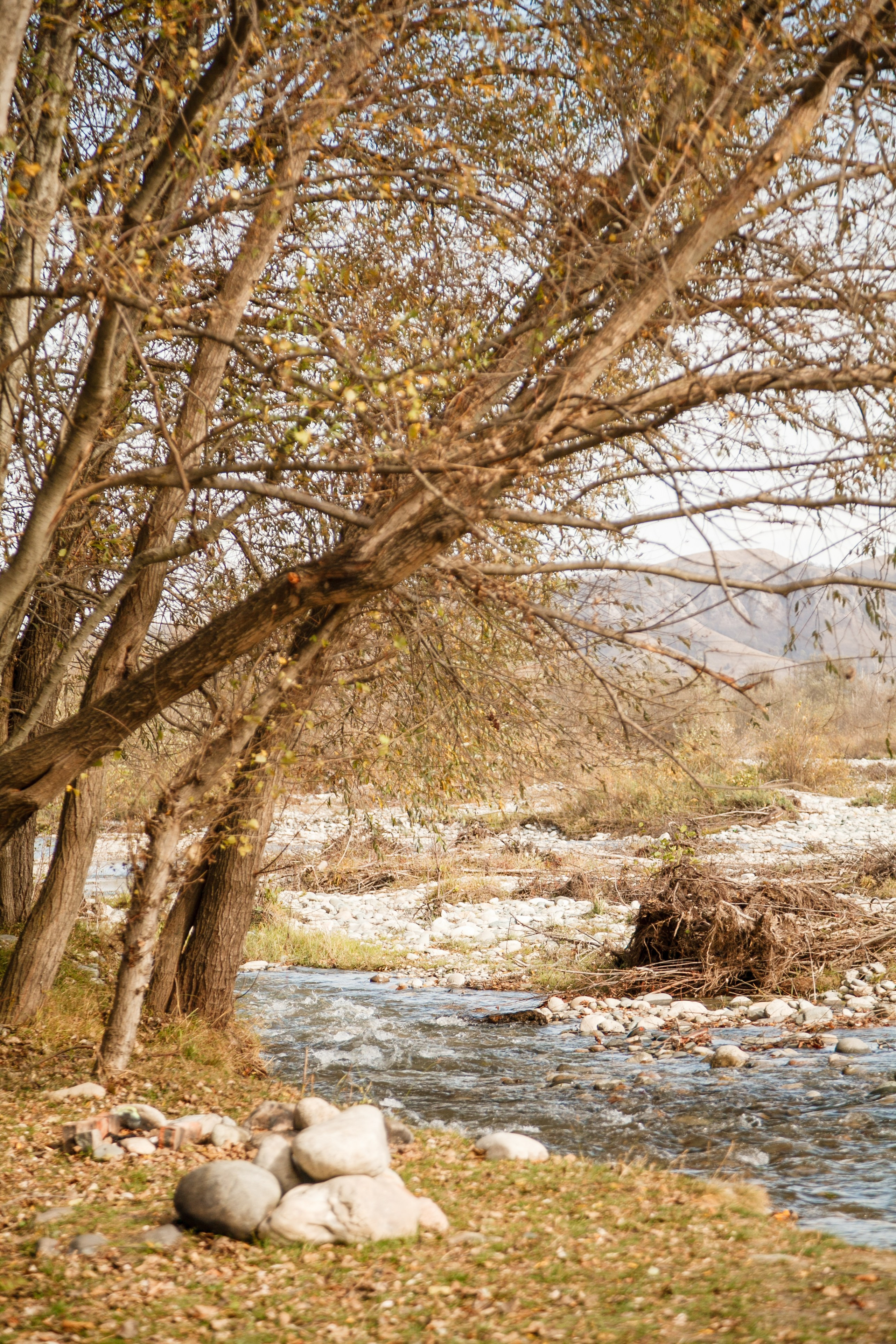 Ретрит"ОТКРОЙ СЕБЯ». Свадебный и семейный фотограф в Армавире
