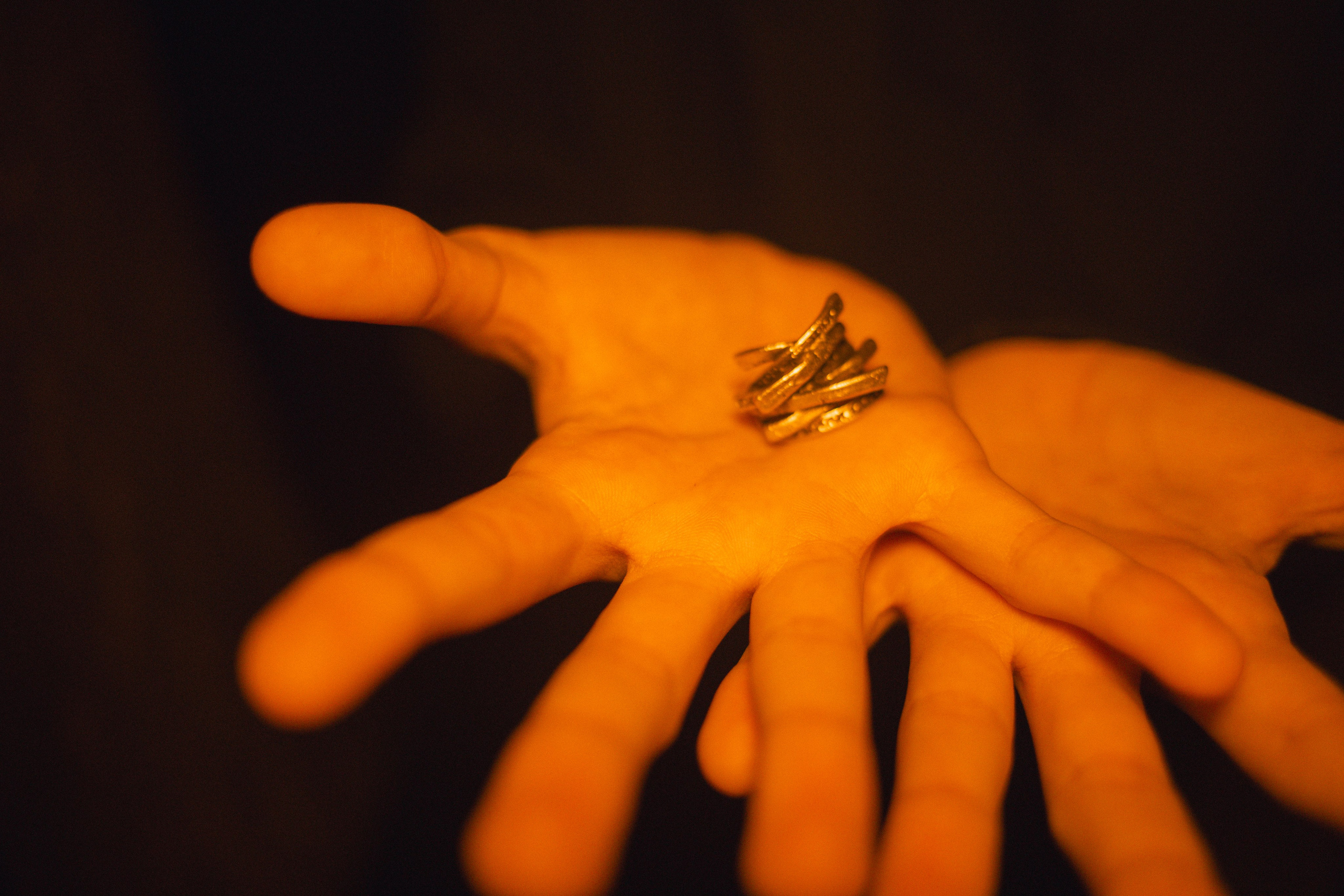 СКАЗОЧНЫЙ ЛЕС. Я фотограф из Москвы к Вашим услугам