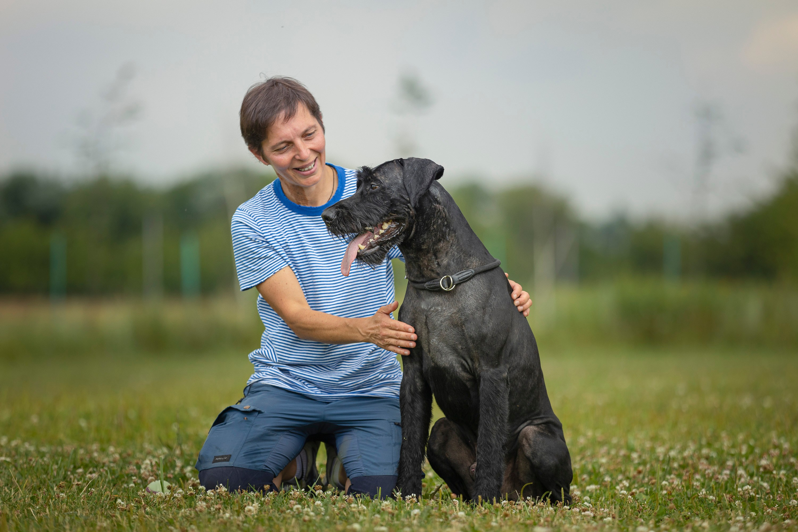 ЗКС. Фотограф анималист, семейный фотограф, фотограф собак Комратова Мария. г. Москва