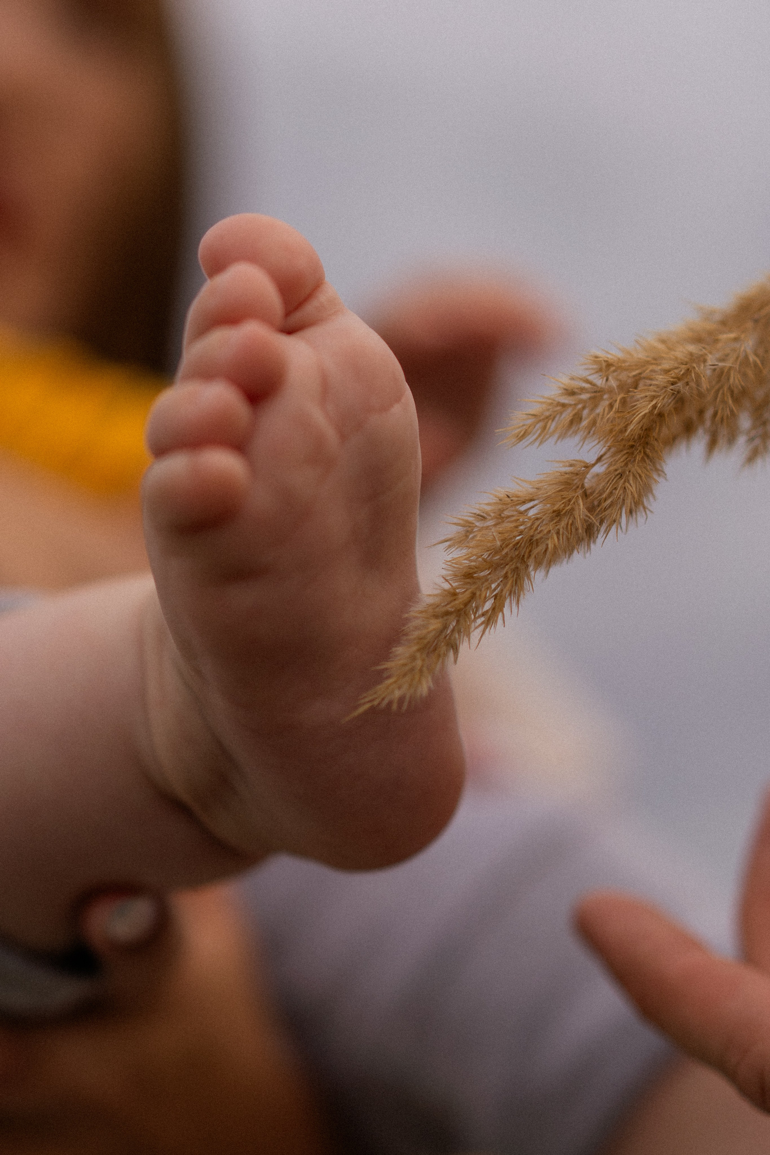 Olya + Artem + Arseniy. Lusy Redina | Семейный Фотограф | Волгоград