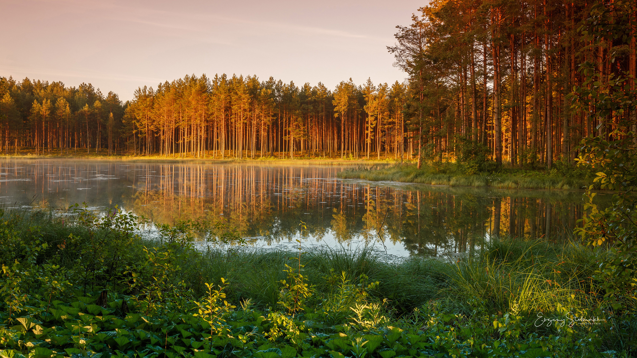 Главная. Фотограф Евгений Стельмах в Молодечно и Минске