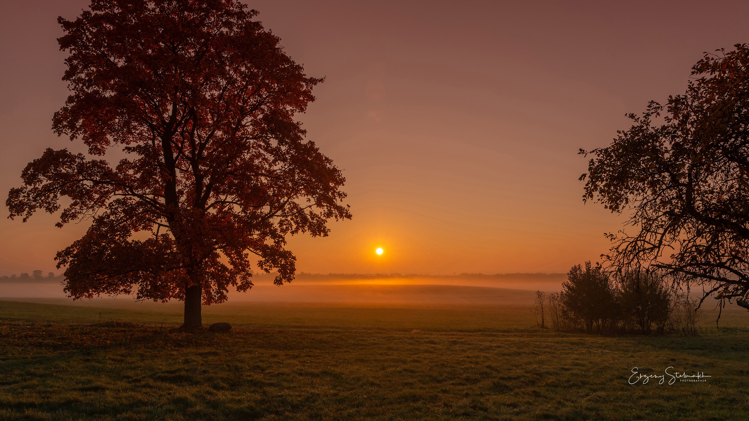 Главная. Фотограф Евгений Стельмах в Молодечно и Минске