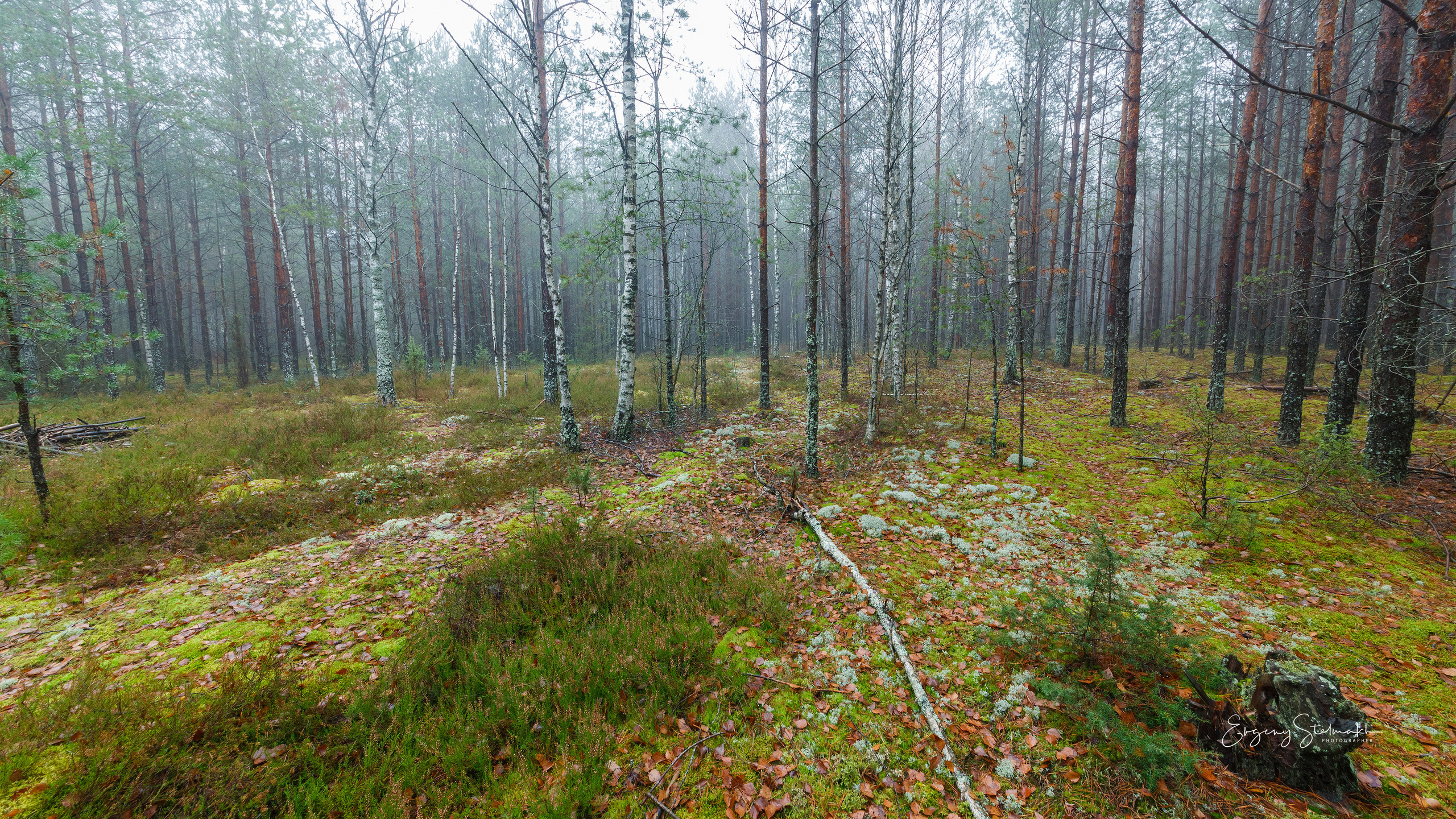 Главная. Фотограф Евгений Стельмах в Молодечно и Минске