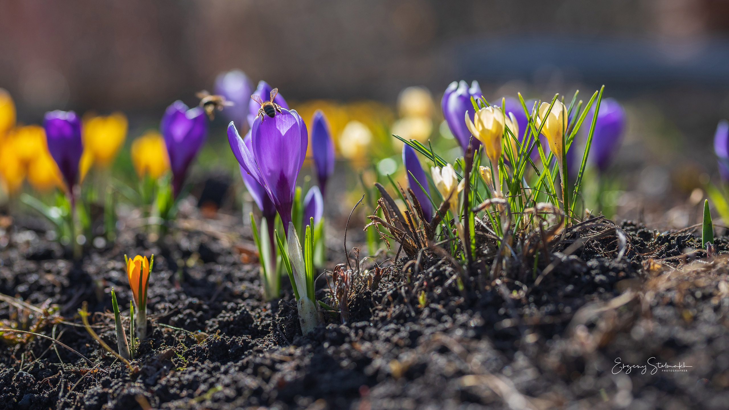 Главная. Фотограф Евгений Стельмах в Молодечно и Минске