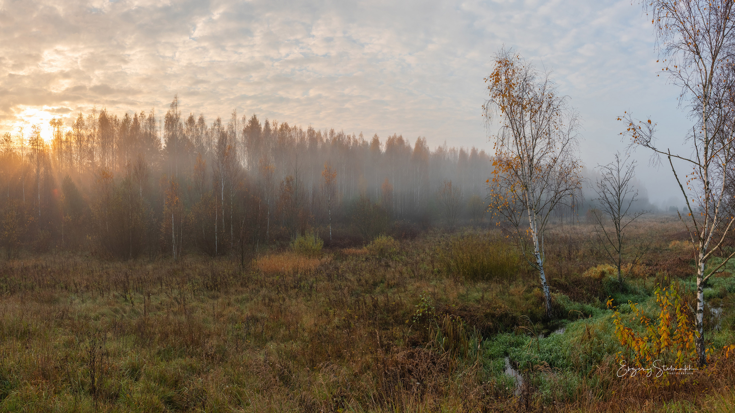 Главная. Фотограф Евгений Стельмах в Молодечно и Минске