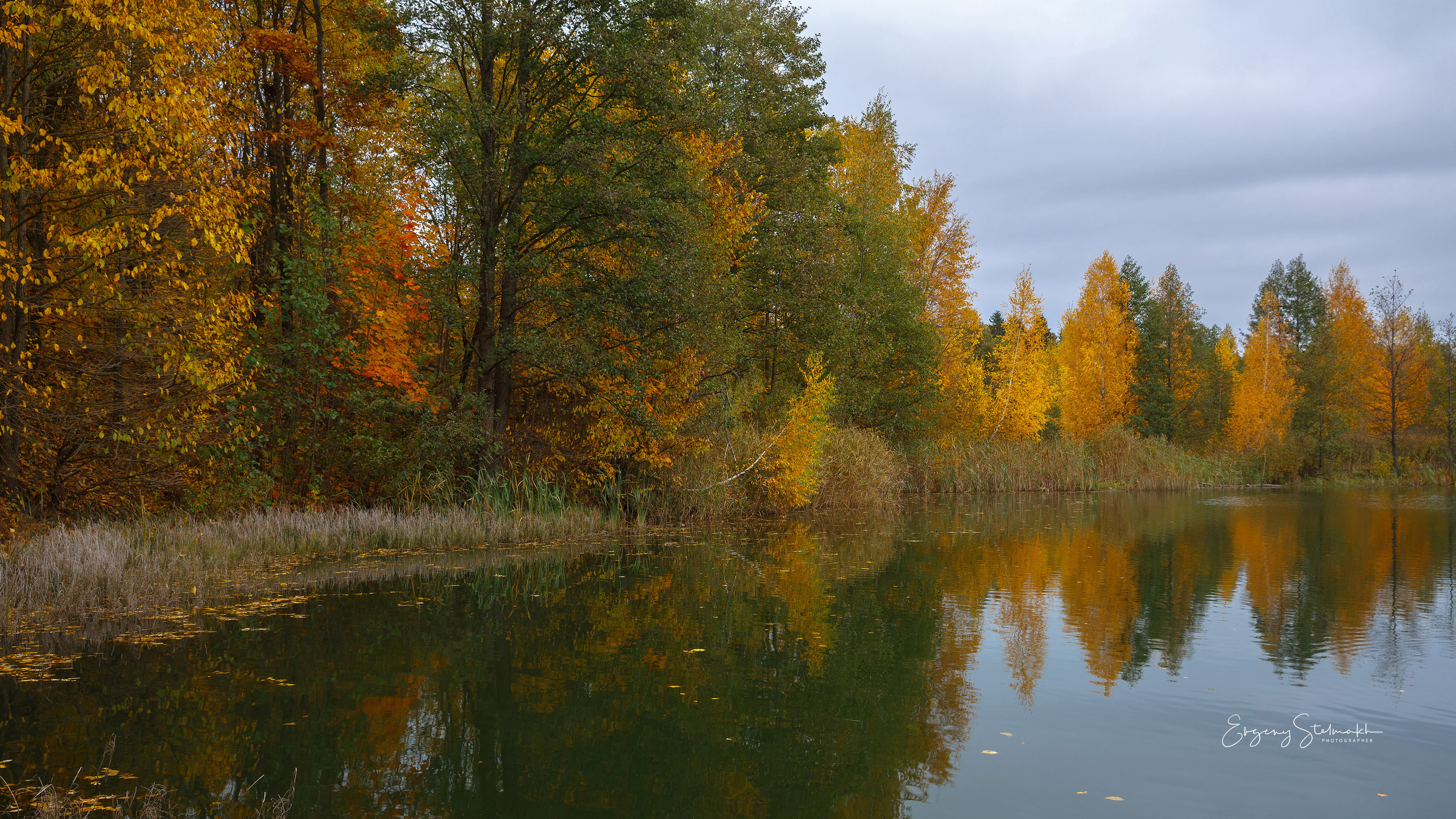 Главная. Фотограф Евгений Стельмах в Молодечно и Минске