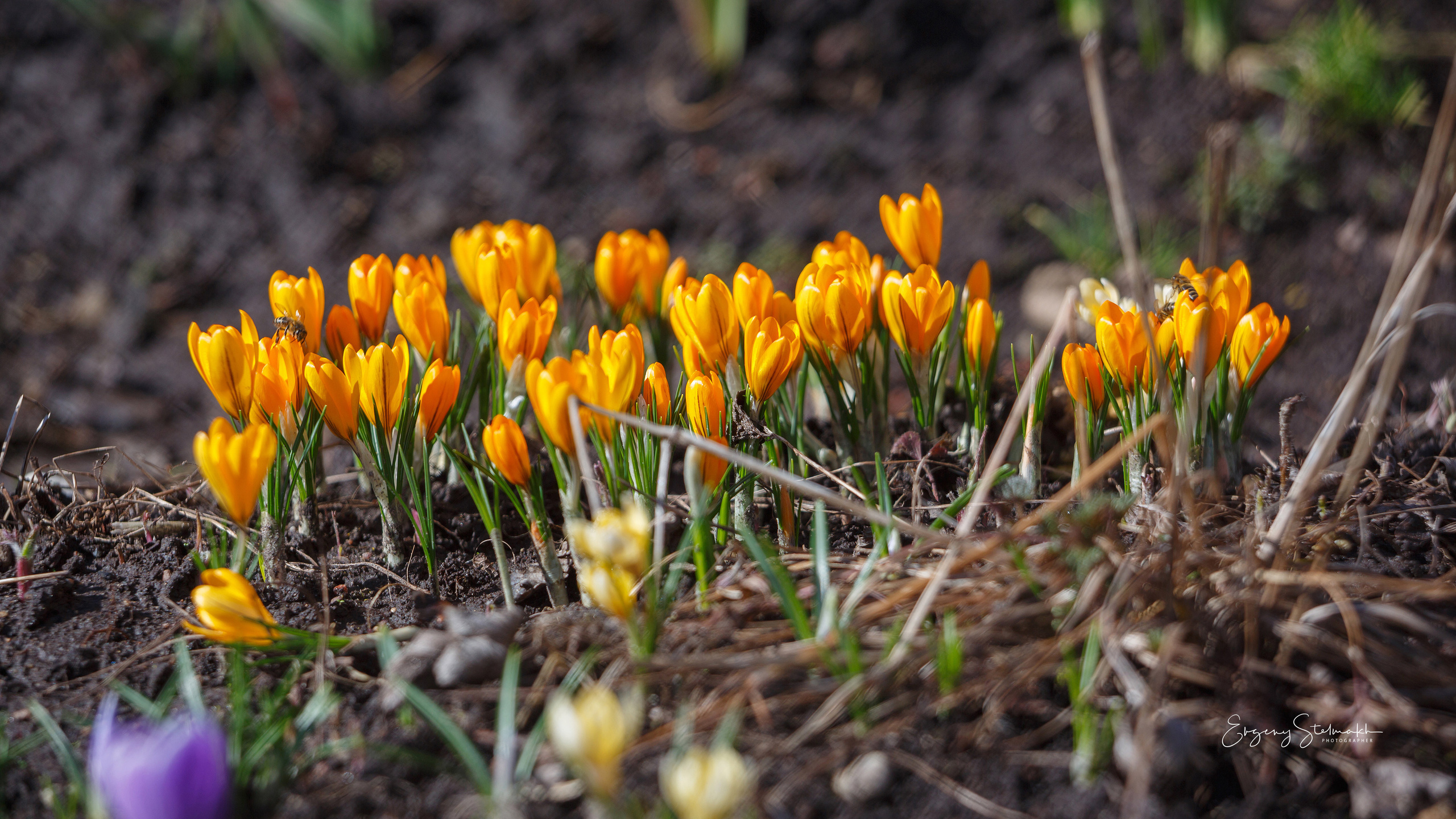 Главная. Фотограф Евгений Стельмах в Молодечно и Минске