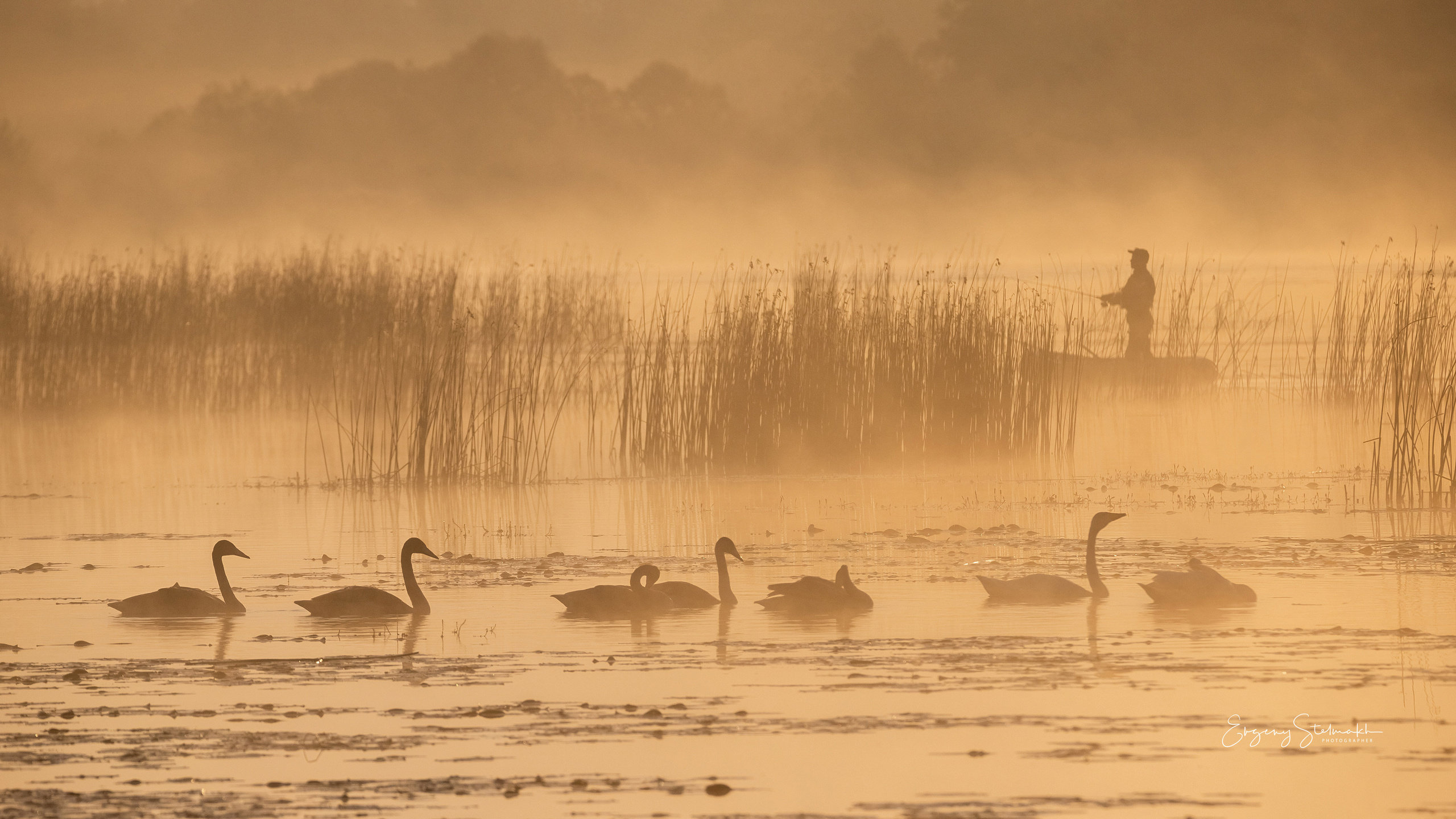 Главная. Фотограф Евгений Стельмах в Молодечно и Минске