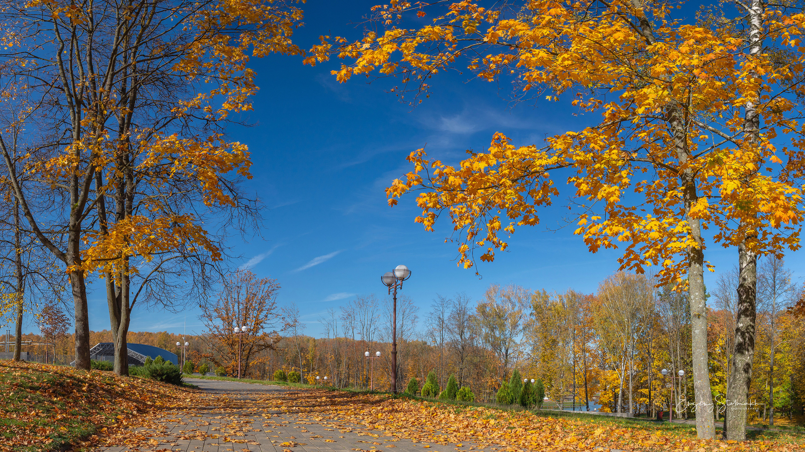 Главная. Фотограф Евгений Стельмах в Молодечно и Минске