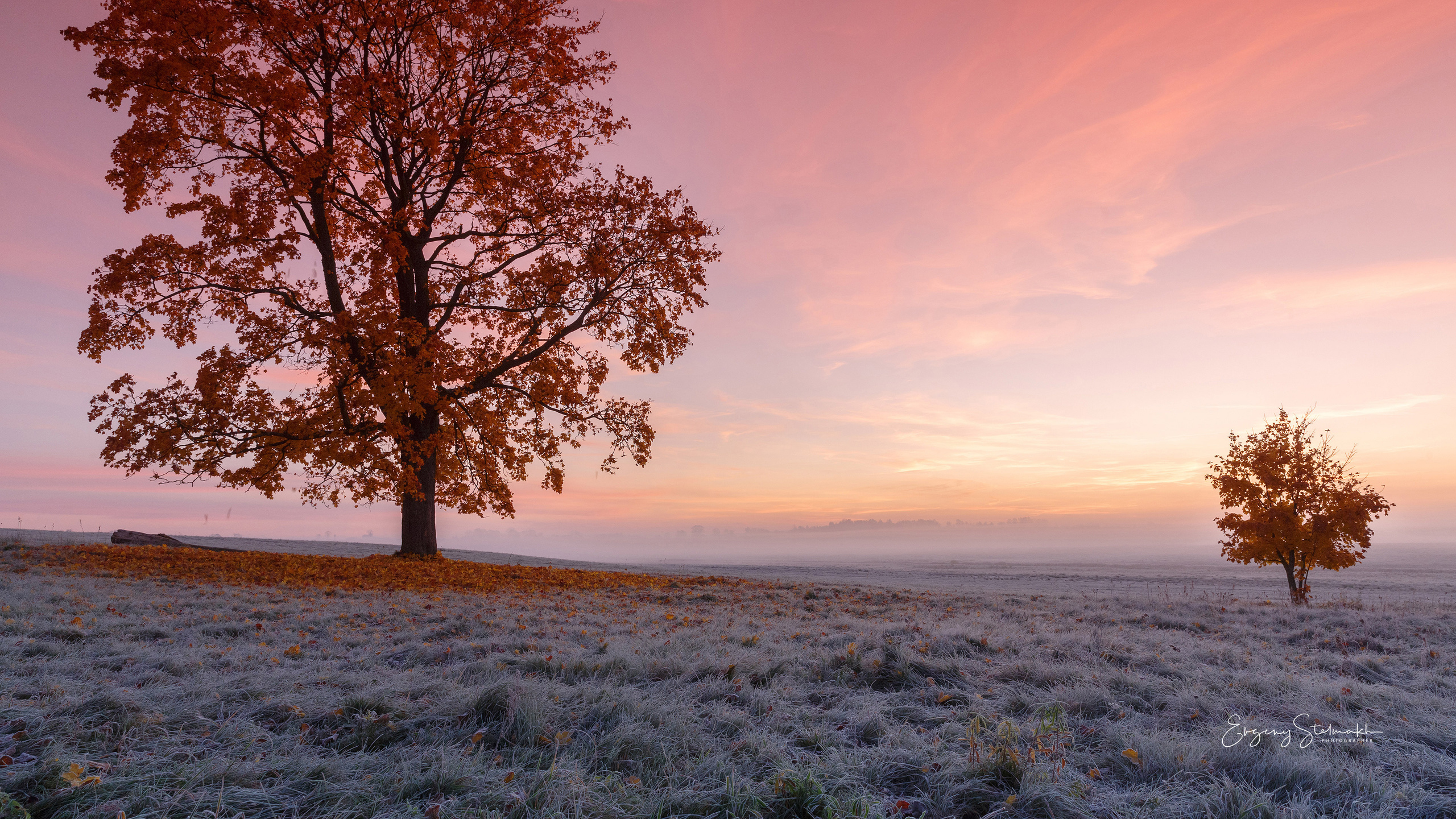 Главная. Фотограф Евгений Стельмах в Молодечно и Минске