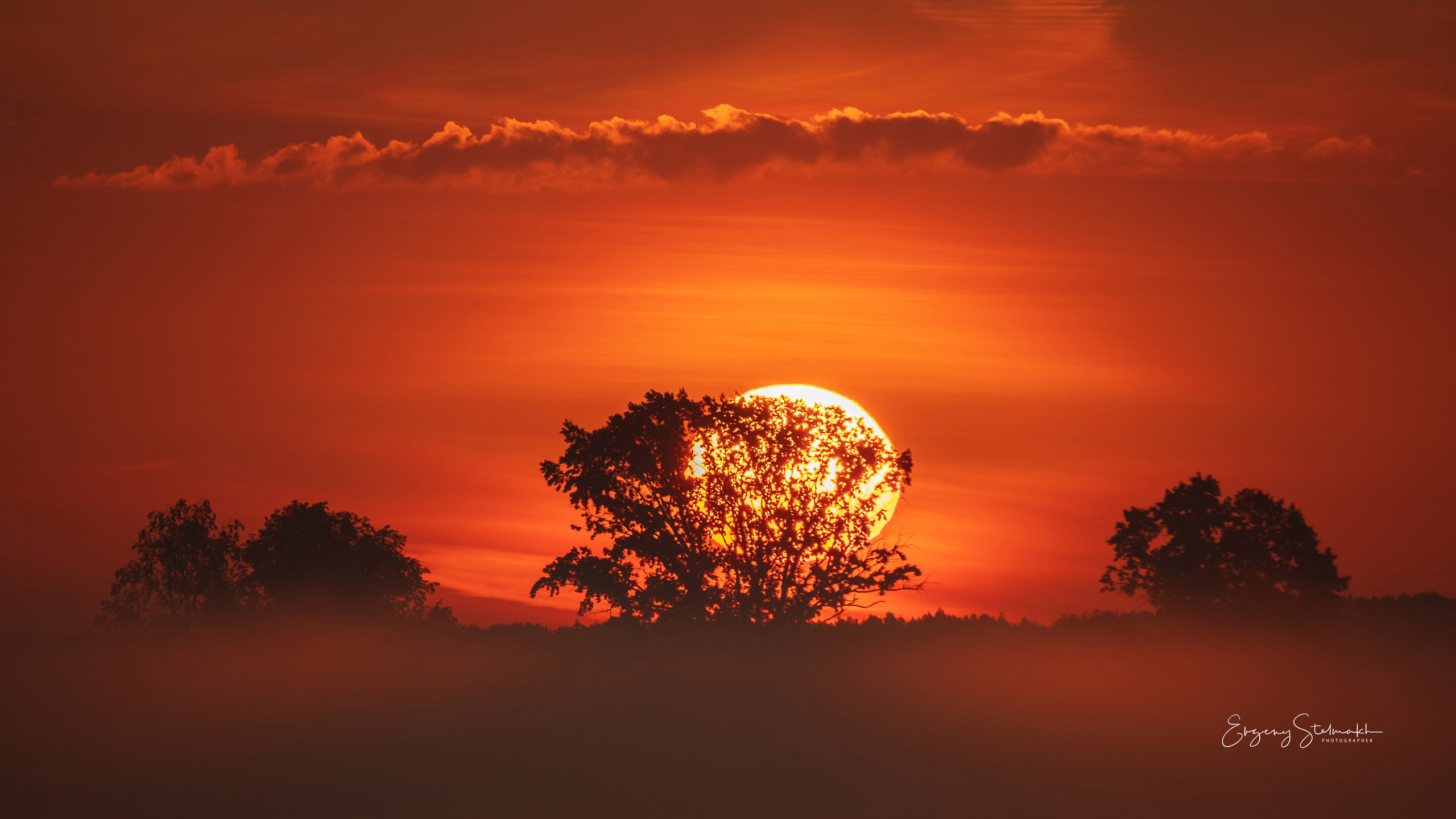 Главная. Фотограф Евгений Стельмах в Молодечно и Минске