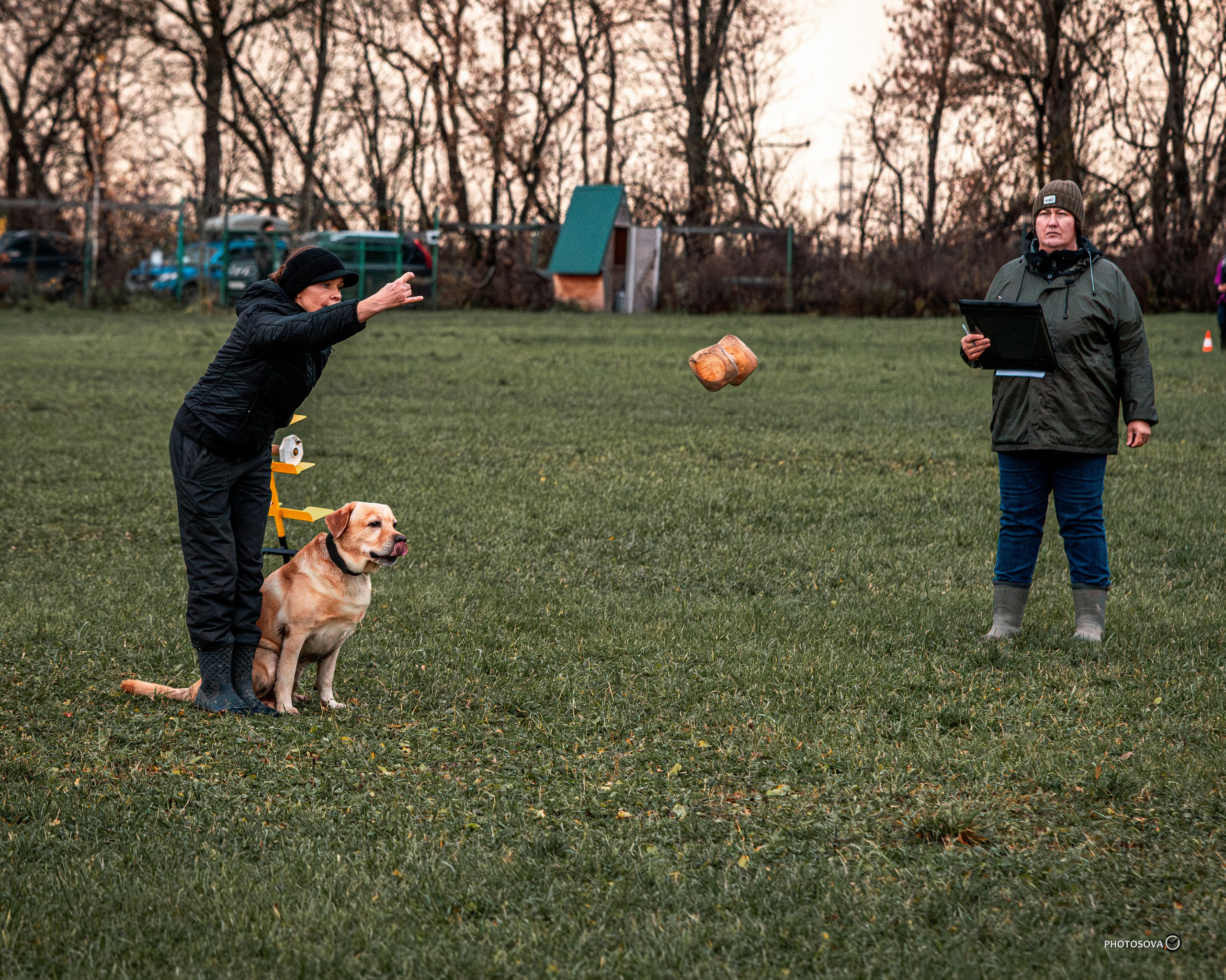 МЫ — КОМАНДА (соревнования) OKD, BH, IBGH, IGP. Фотограф-анималист, семейный фотограф в Москве и Подмосковье. Фотосъёмка кинологических дисциплин