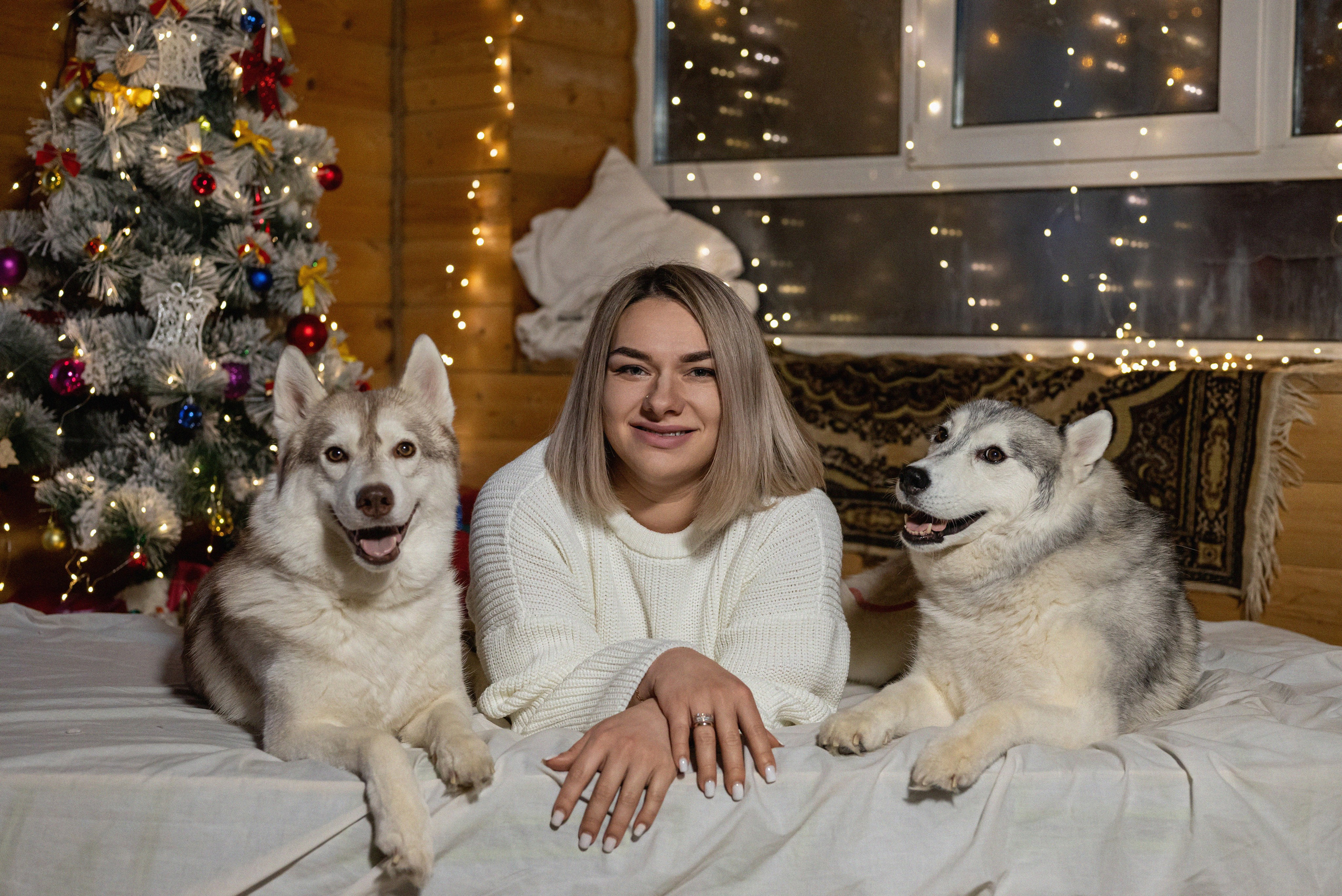 Фотопроект с хаски 2024 г. Фотограф в городе Салават