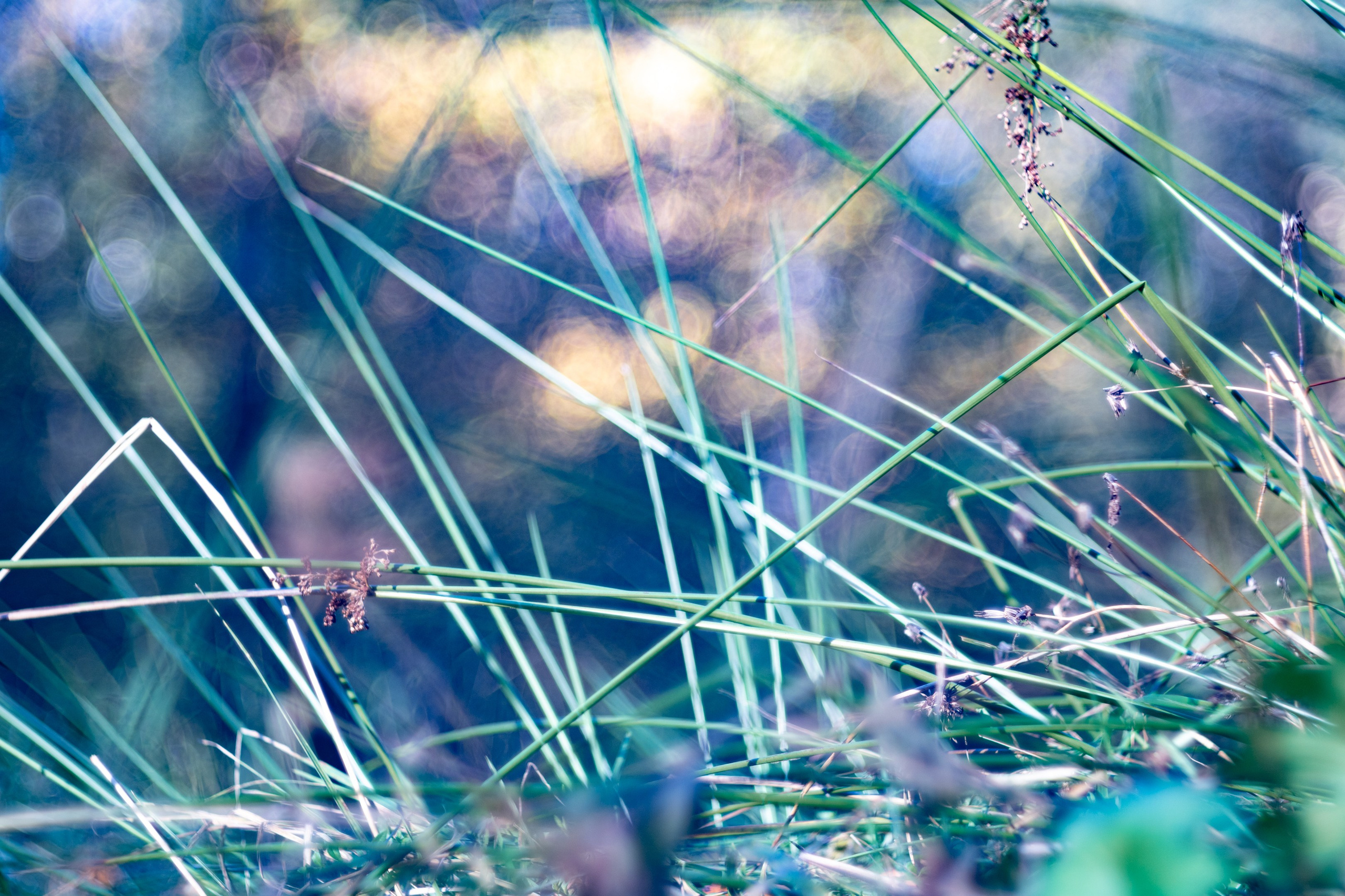 ПЕРЕДЕЛКИНО. ПОБУДЬ ЗДЕСЬ И ЦЕЛЕЕ БУДЕТ ЭТОТ МИР