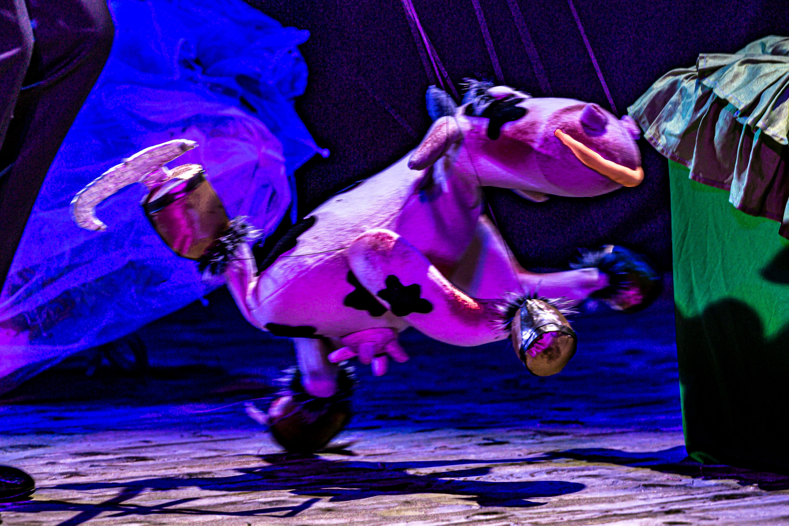 Любопытный слоненок спектакль театра Саквояж. Фотограф в Сочи Юрий Шептаев