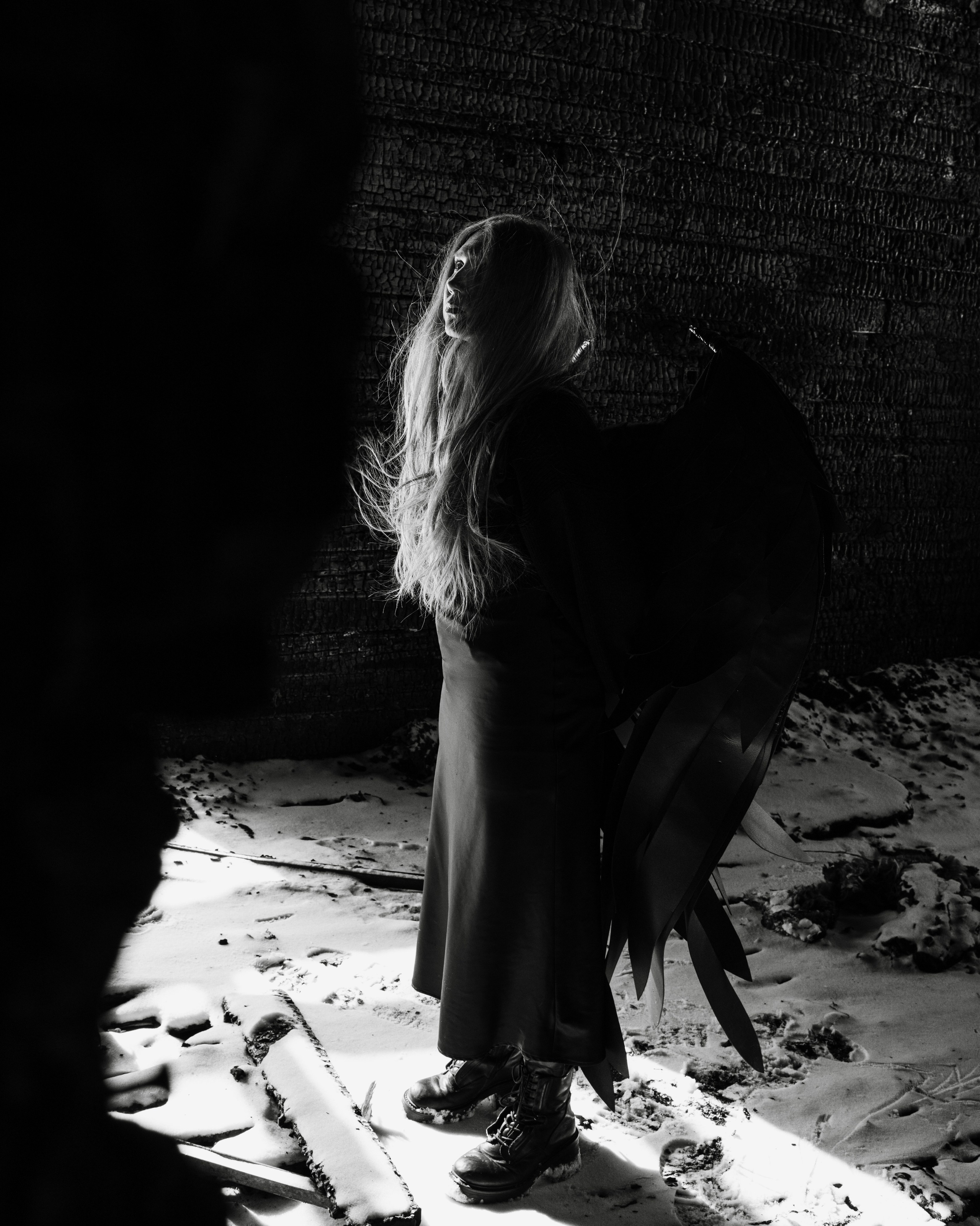 Феникс. Екатерина Пашкова, фотограф, видеограф в Томске