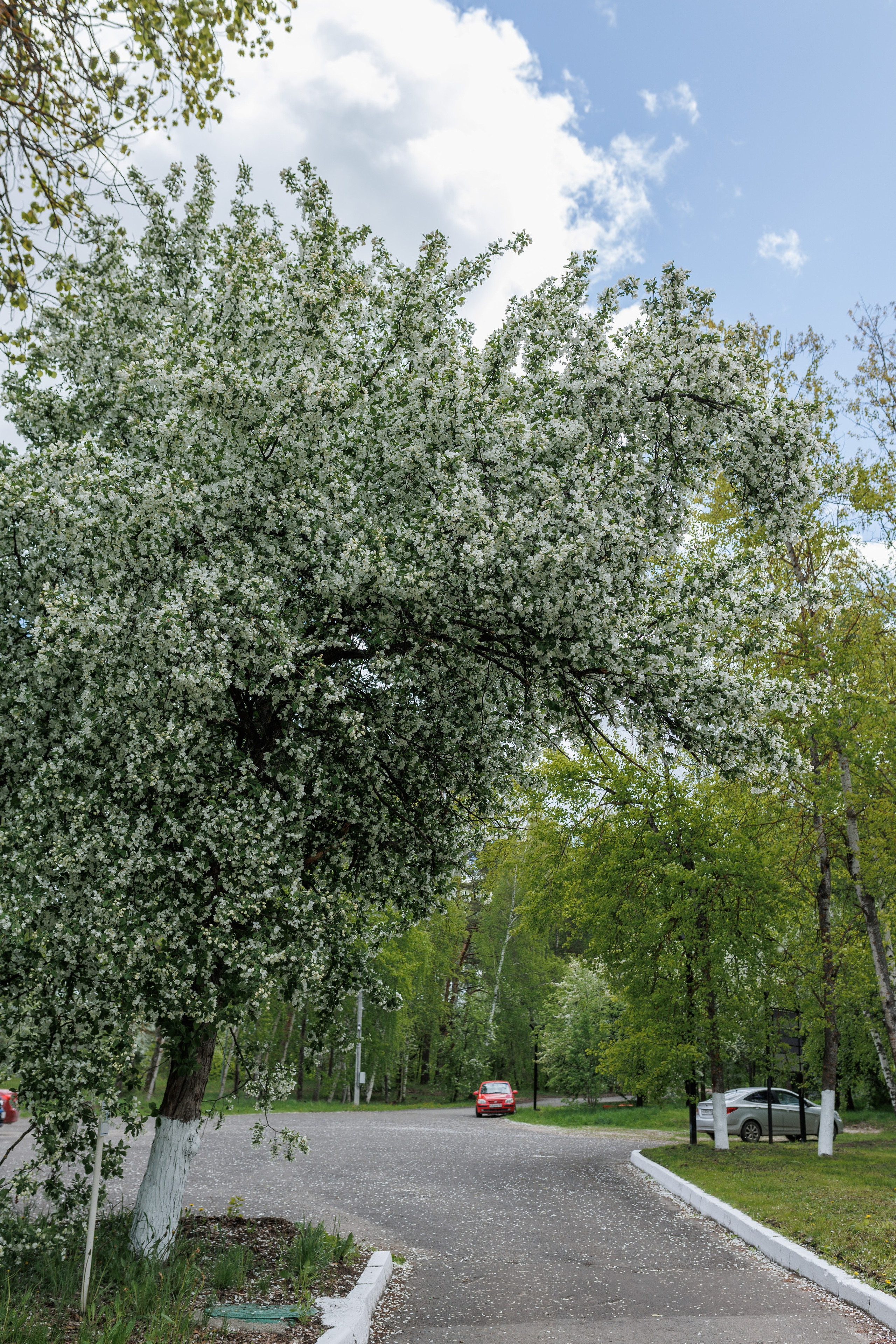 База отдыха «Металлург». Фотограф городских и семейных событий в Нижнем Новгороде Артем Карпухин