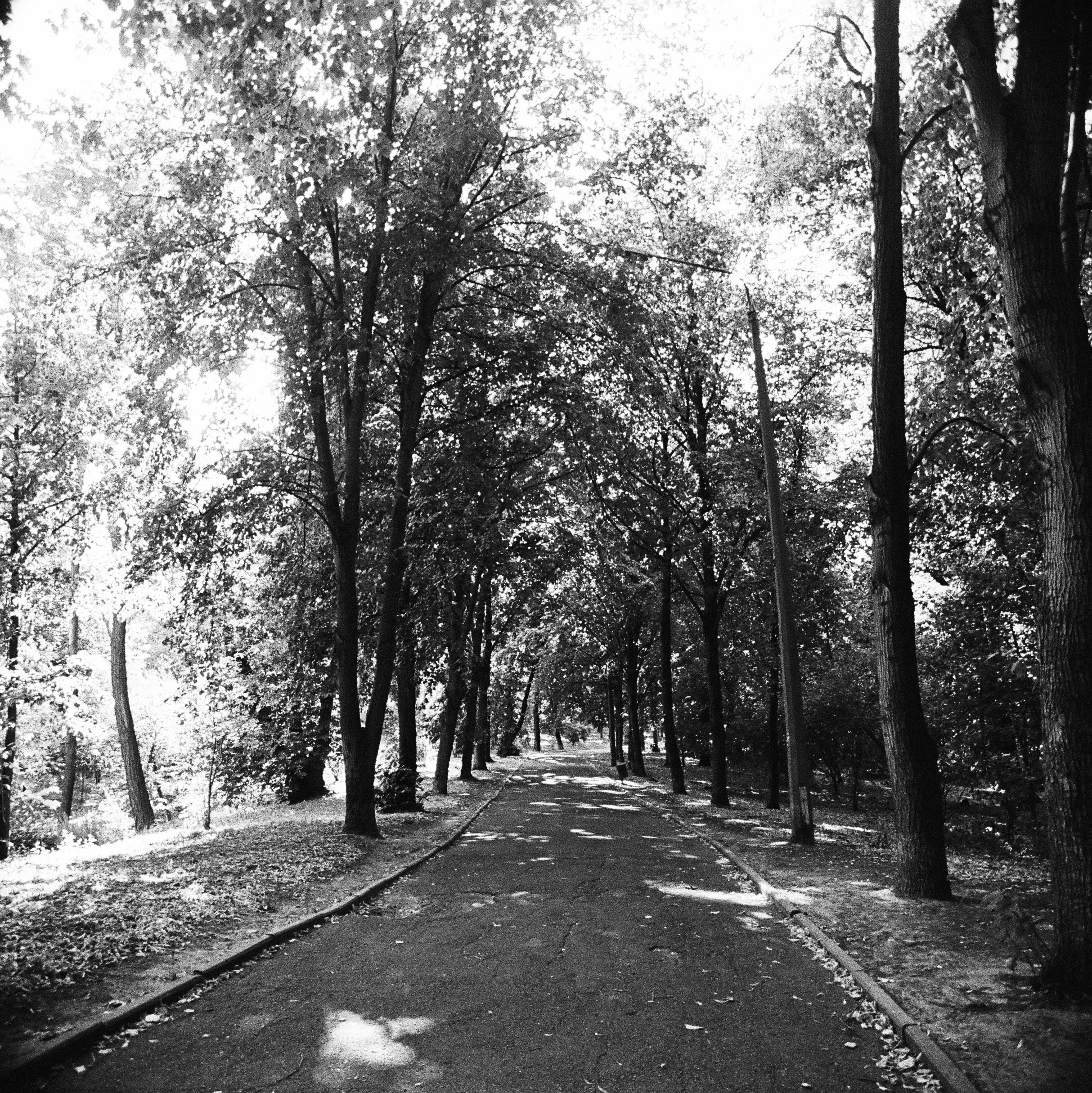 Film. Ruslan UI Dev Page