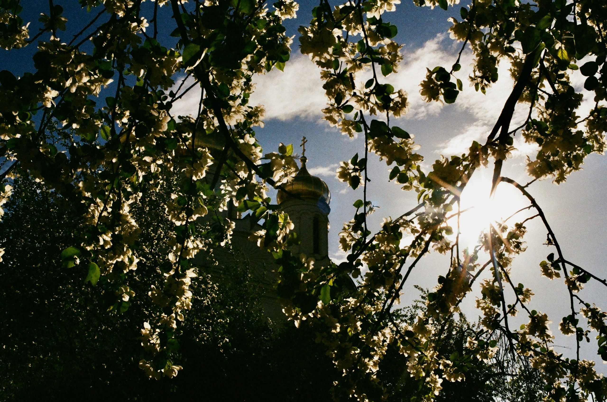 Film. Ruslan UI Dev Page