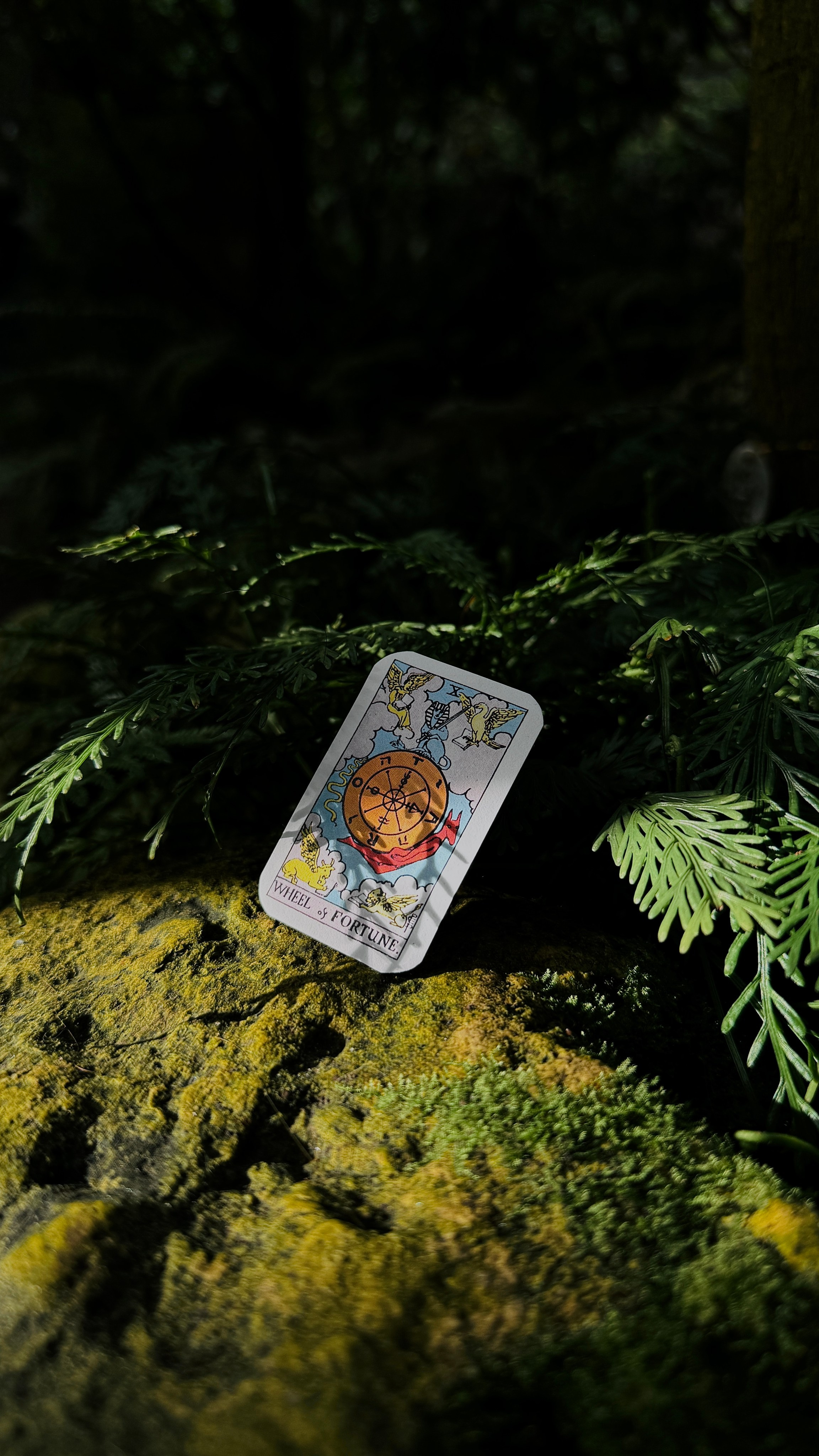 Предметная съемка. Content creator Saint-P