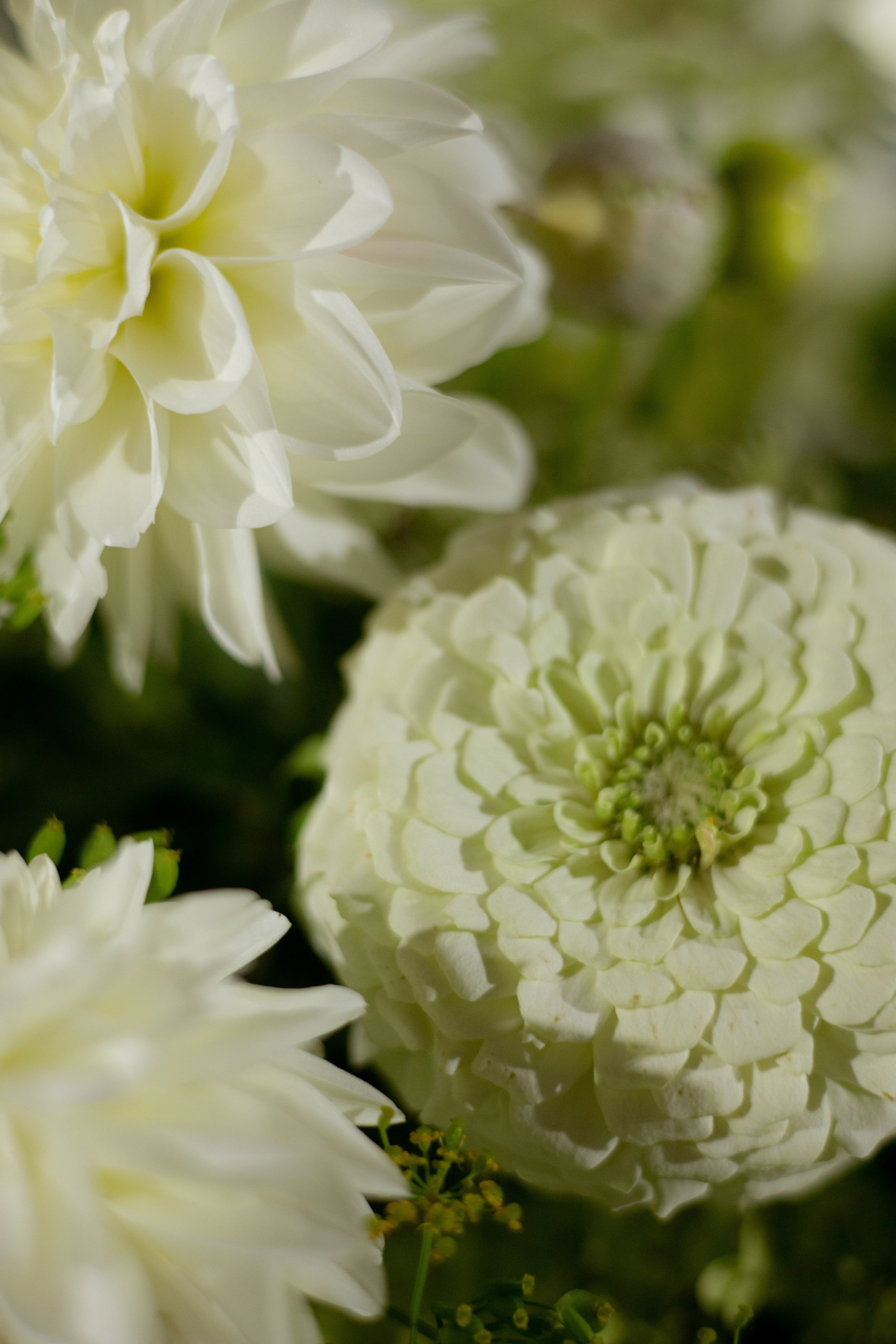 Валерия & Илья. Оформление свадеб, декор свадеб Вера Маркова, Москва