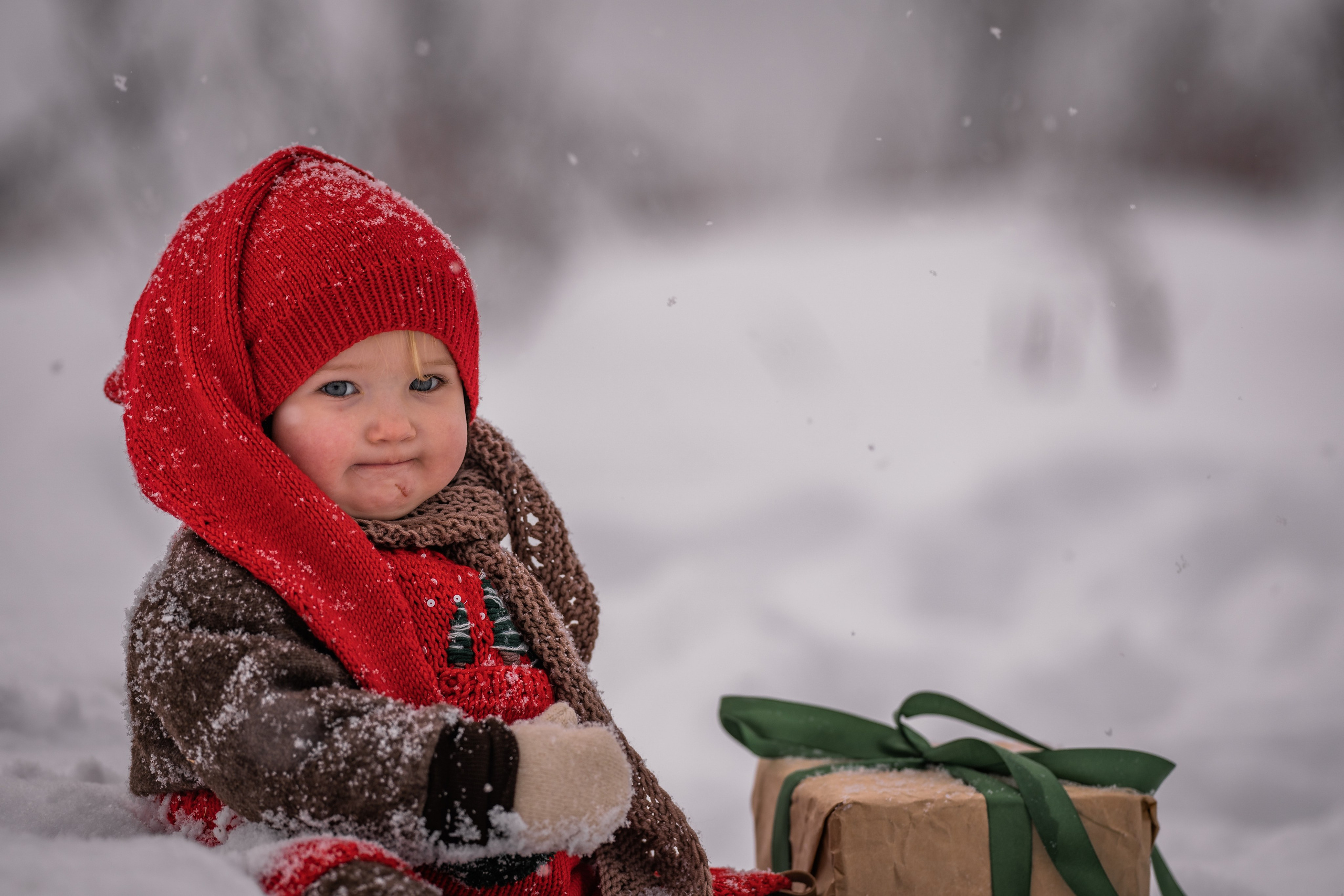 Снежная прогулка на санках. Семейный фотограф Ефремова Виктория