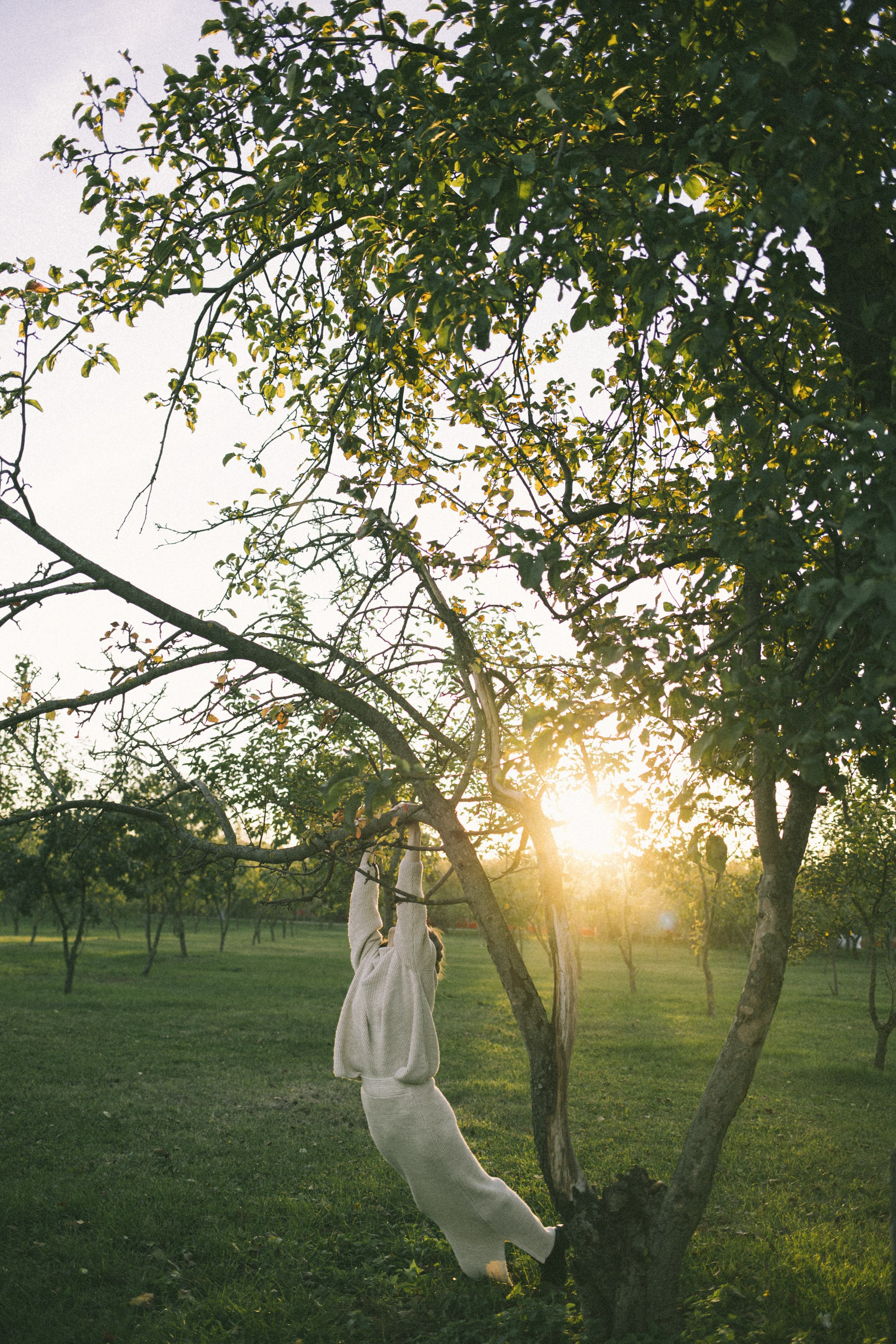 VALERIA. Photographer Shilcova Anastasia
