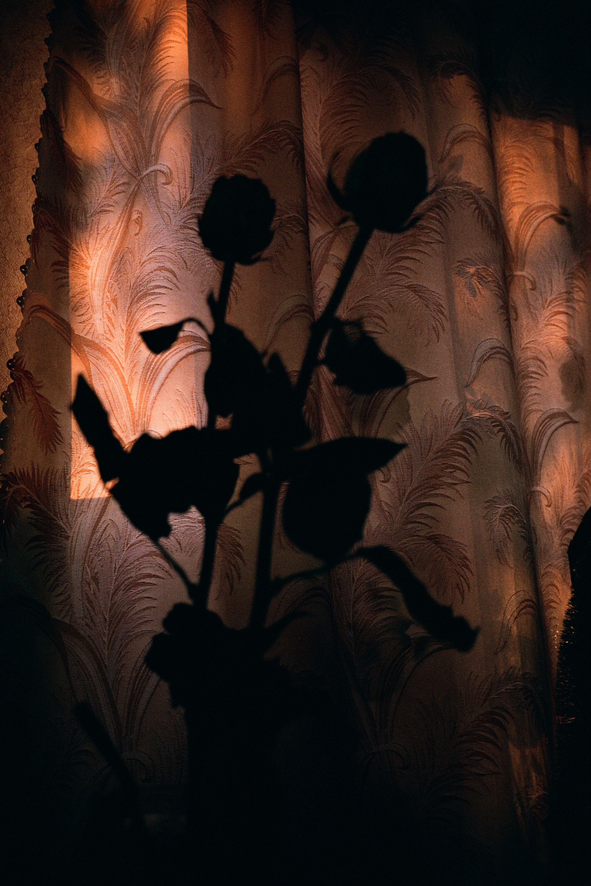 — Tatiana’s Day. Lena Ovchinnikova