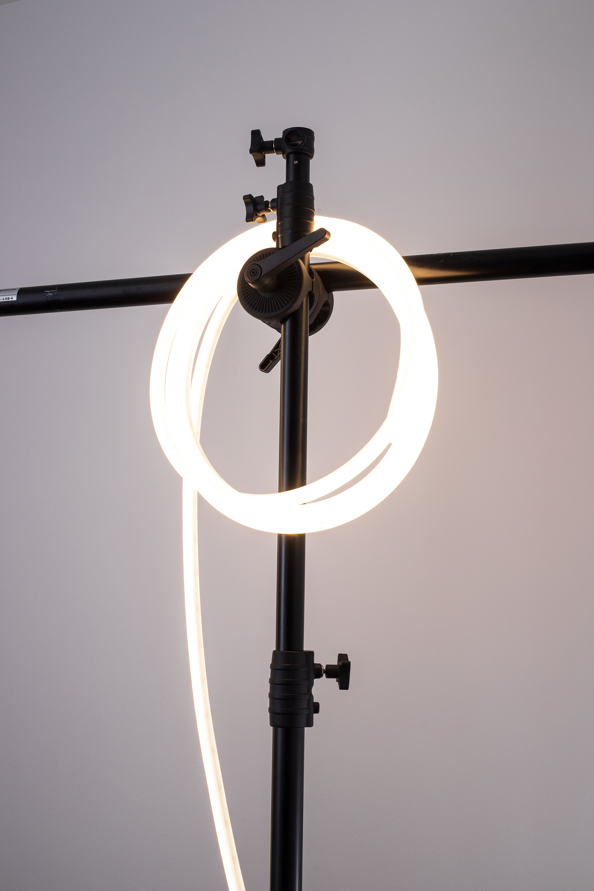 — Tatiana’s Day. Lena Ovchinnikova