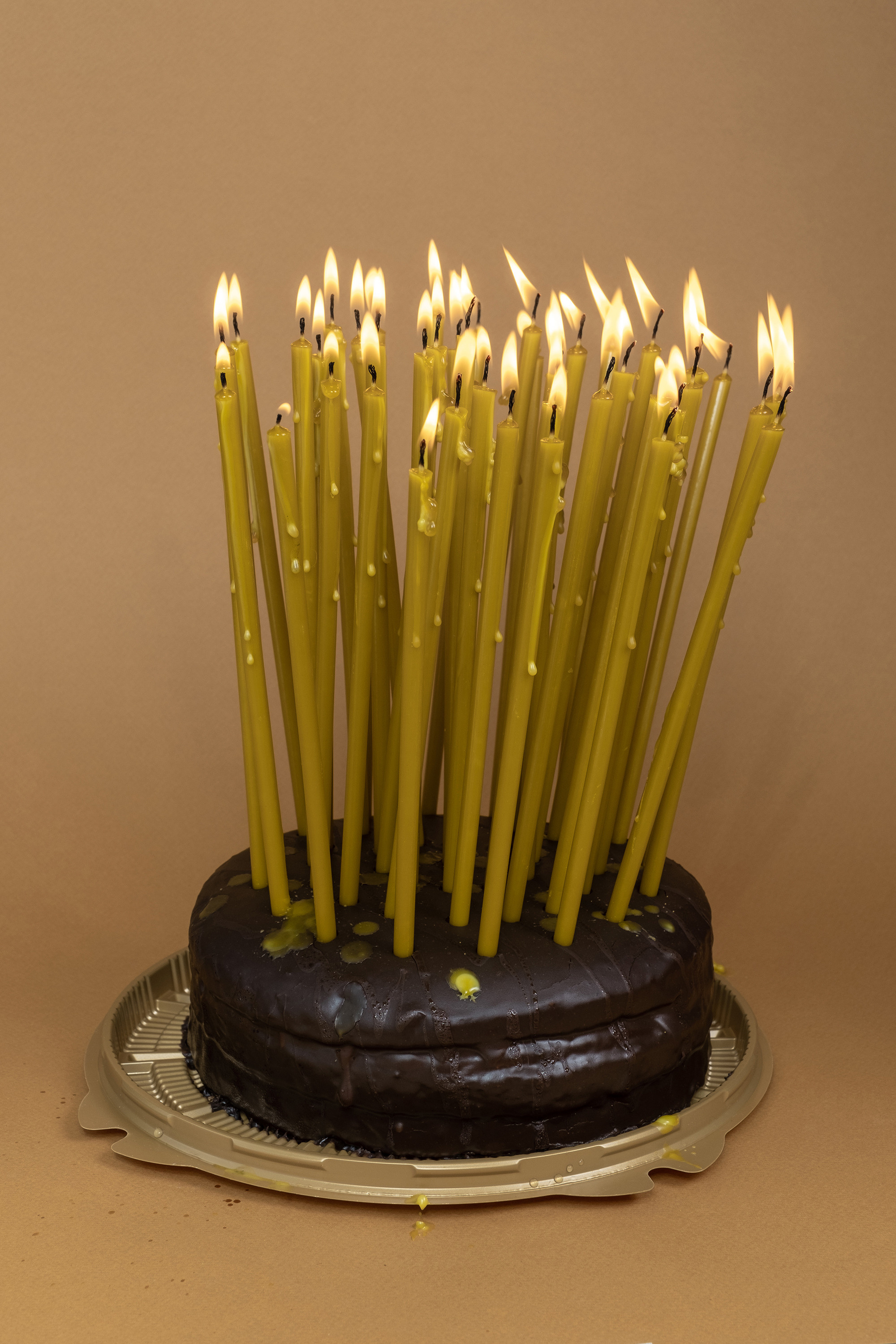 — Tatiana’s Day. Lena Ovchinnikova