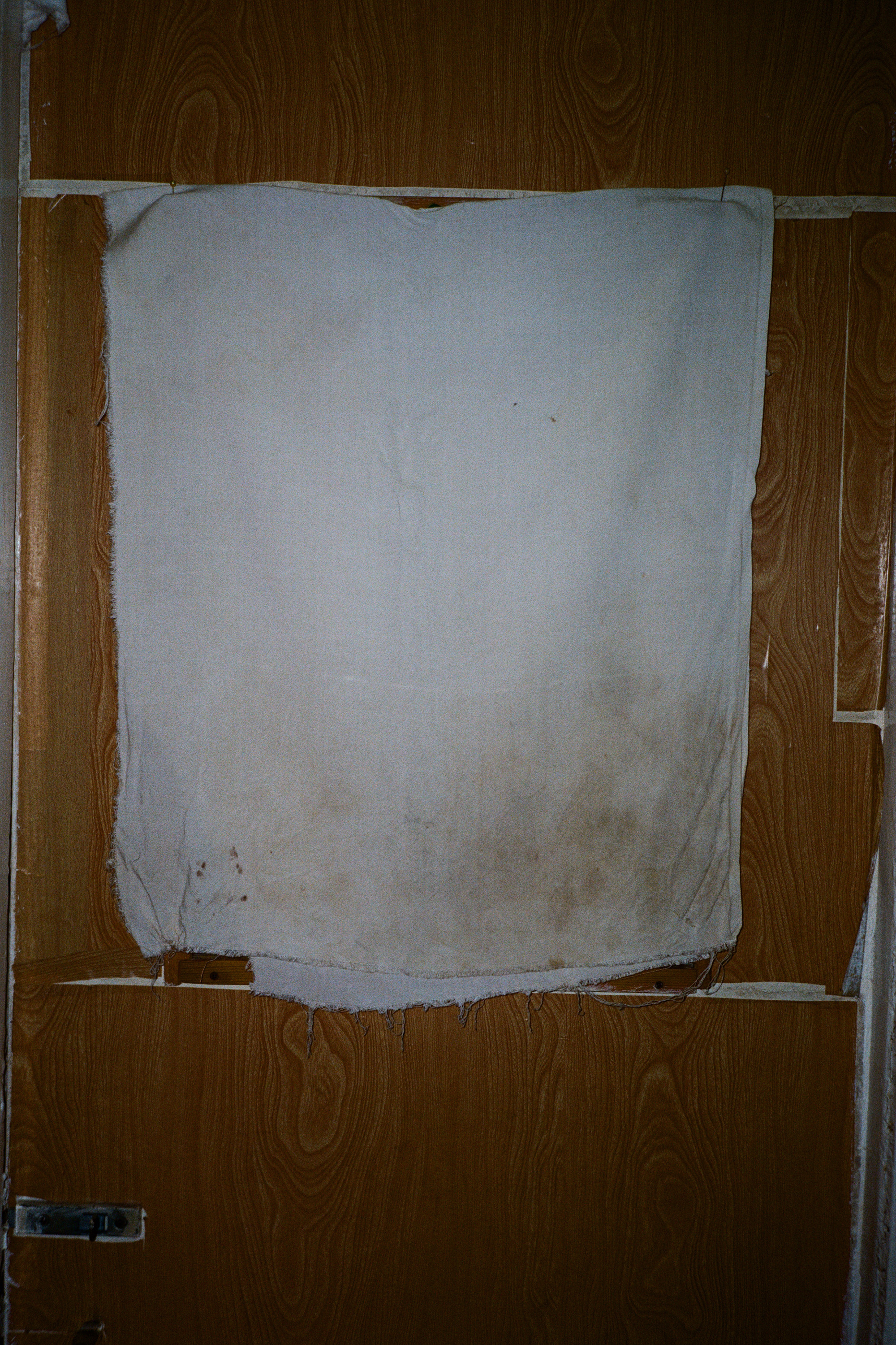 — Tatiana’s Day. Lena Ovchinnikova