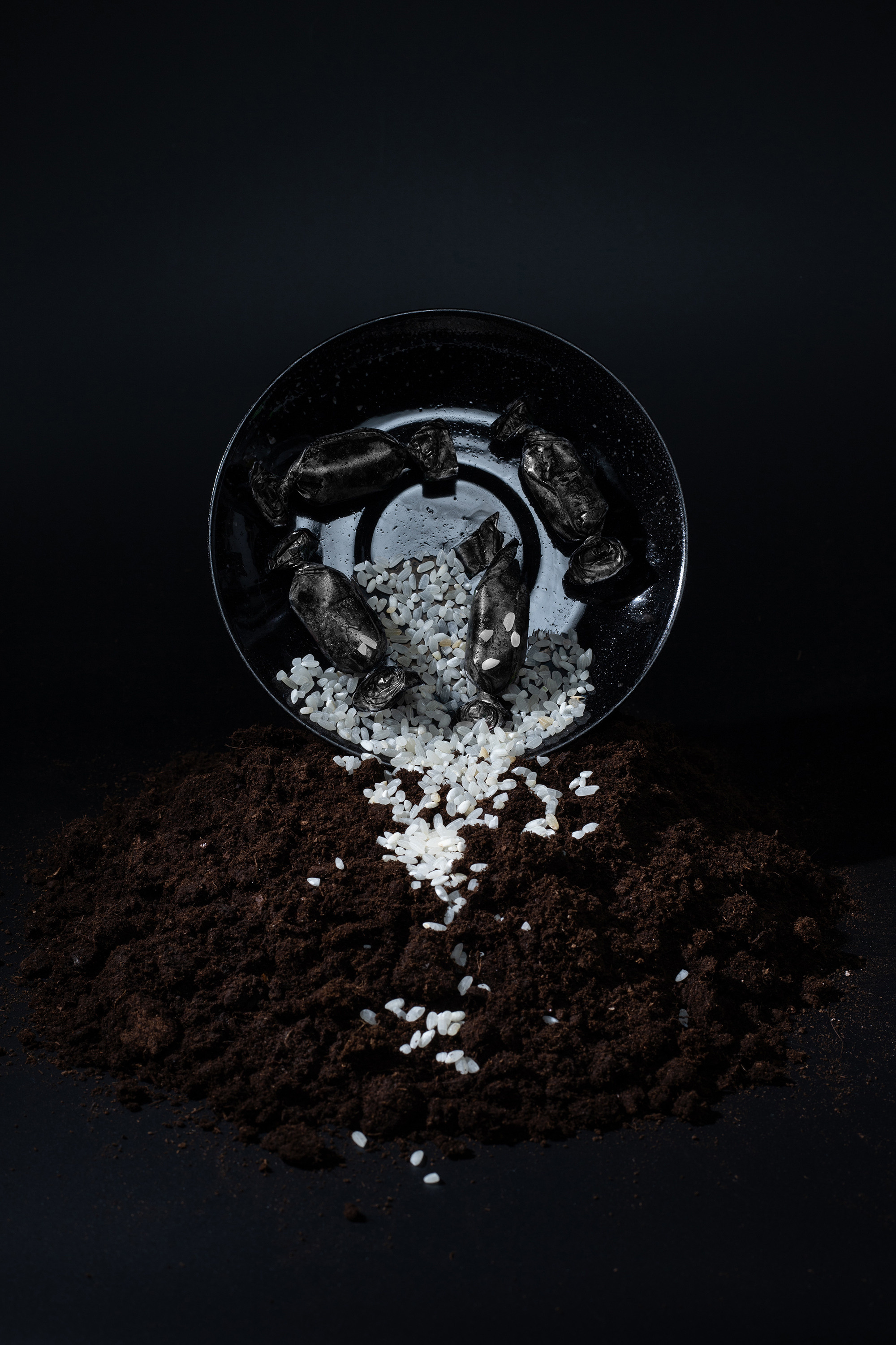 — Tatiana’s Day. Lena Ovchinnikova