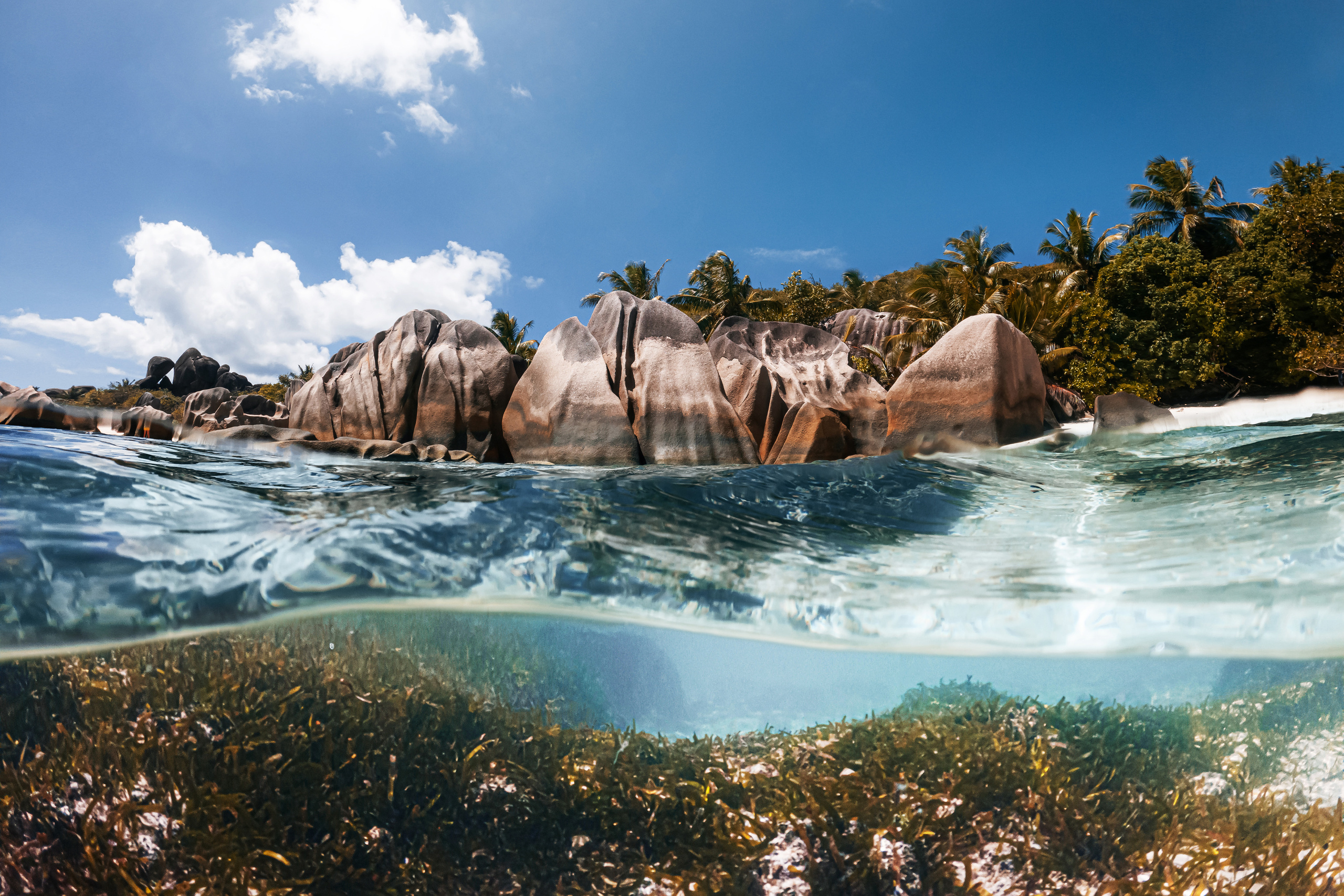 Seychelles. Свадебный и Репортажный фотограф в Москве — Шестак Константин