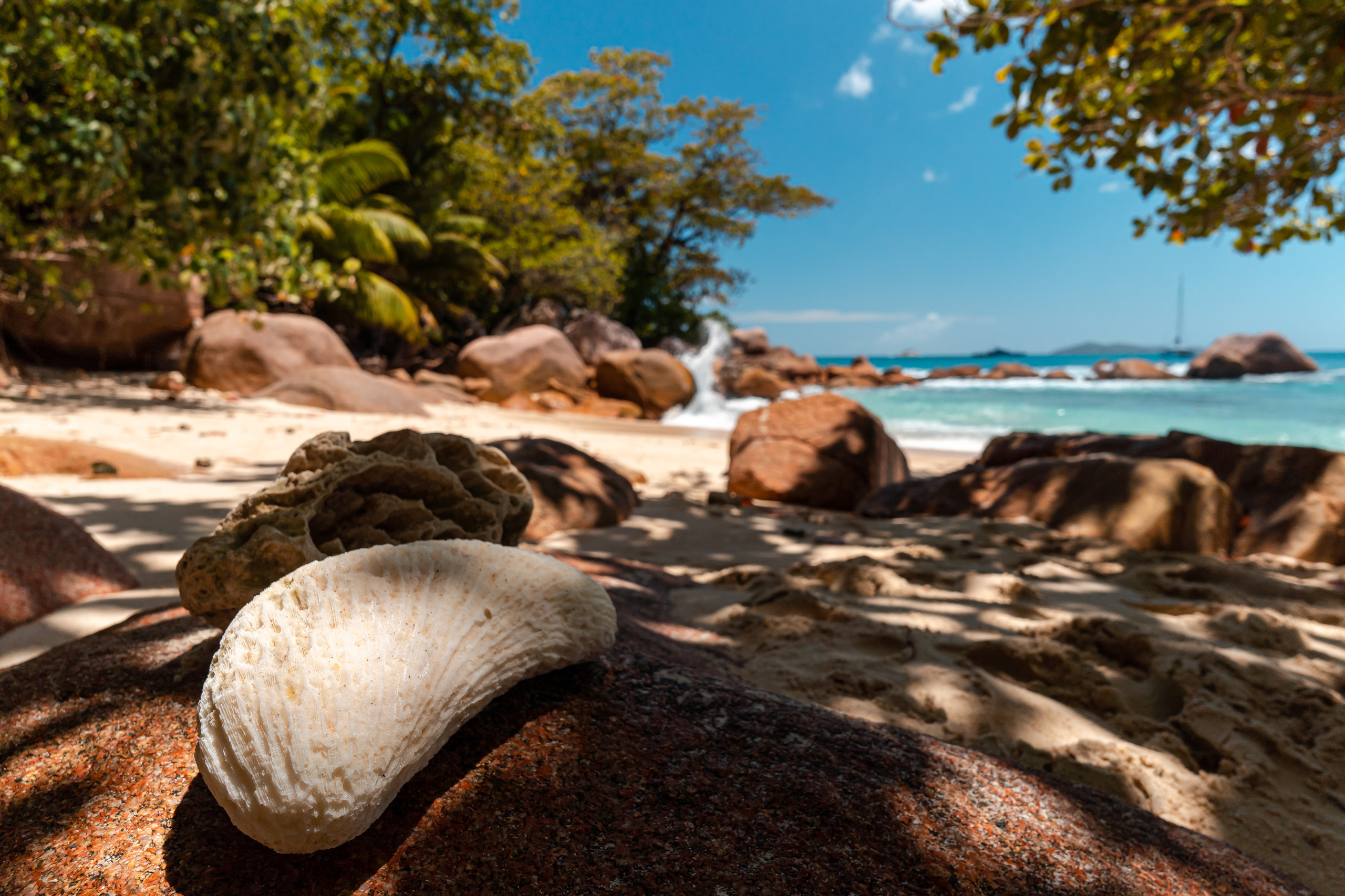 Seychelles. Свадебный и Репортажный фотограф в Москве — Шестак Константин
