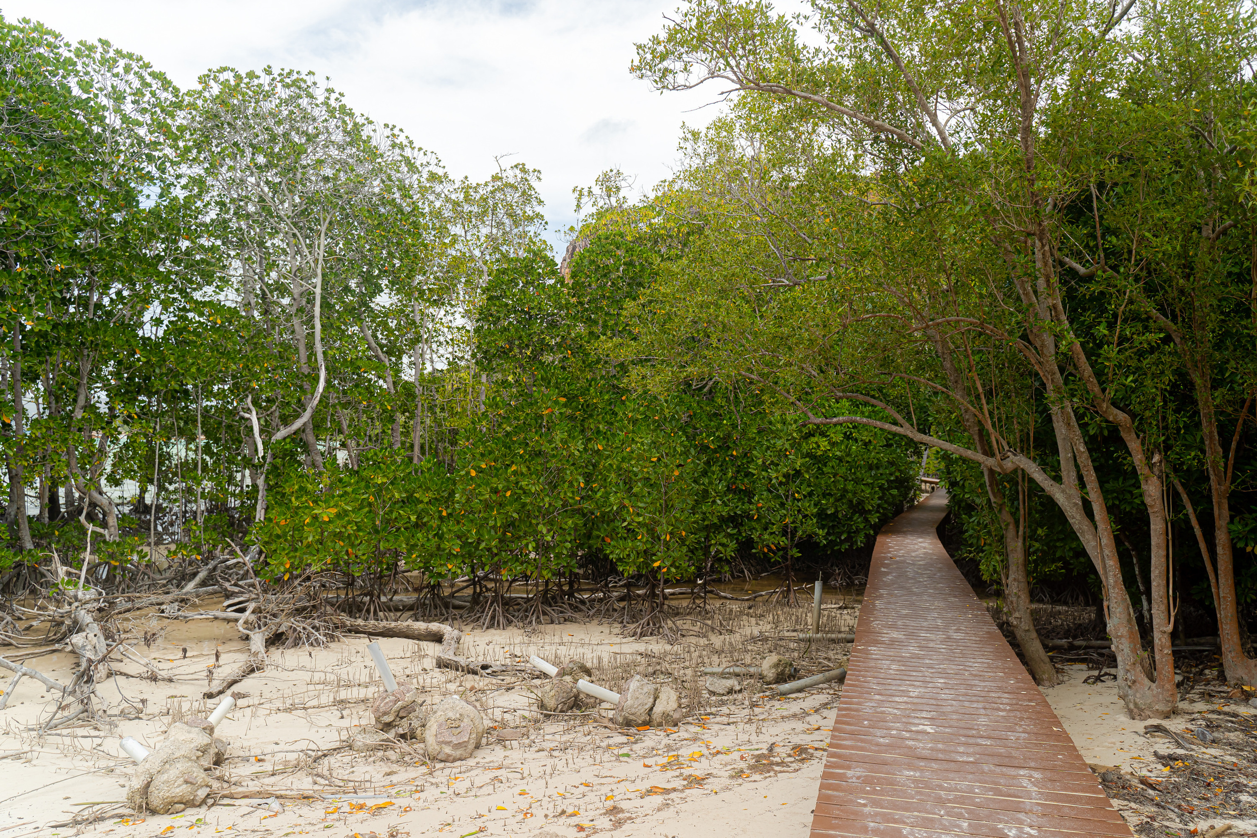 Seychelles. Свадебный и Репортажный фотограф в Москве — Шестак Константин
